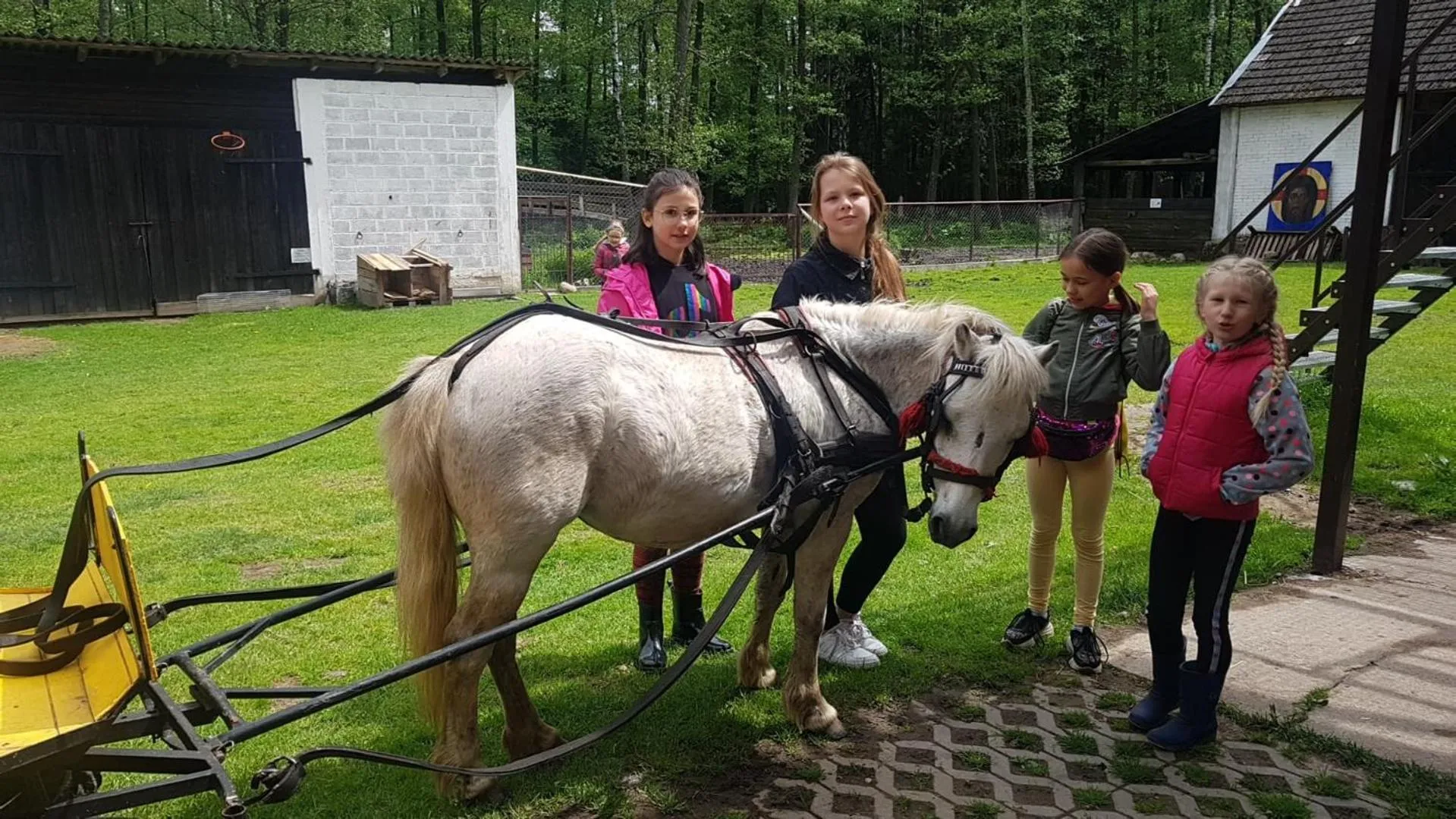 Horse-riding in Kurnik Polski agroturystyka