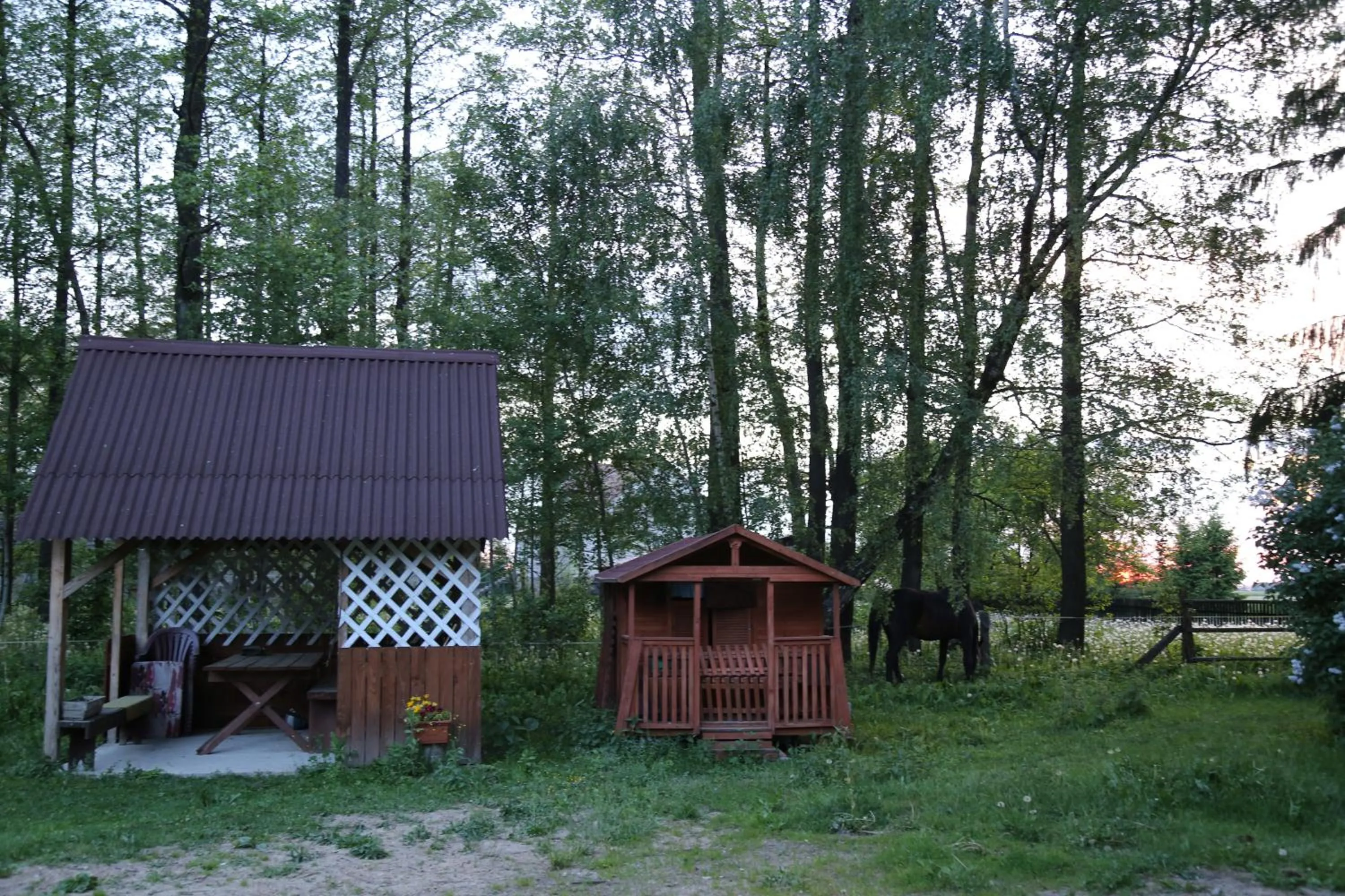 Garden in Kurnik Polski agroturystyka
