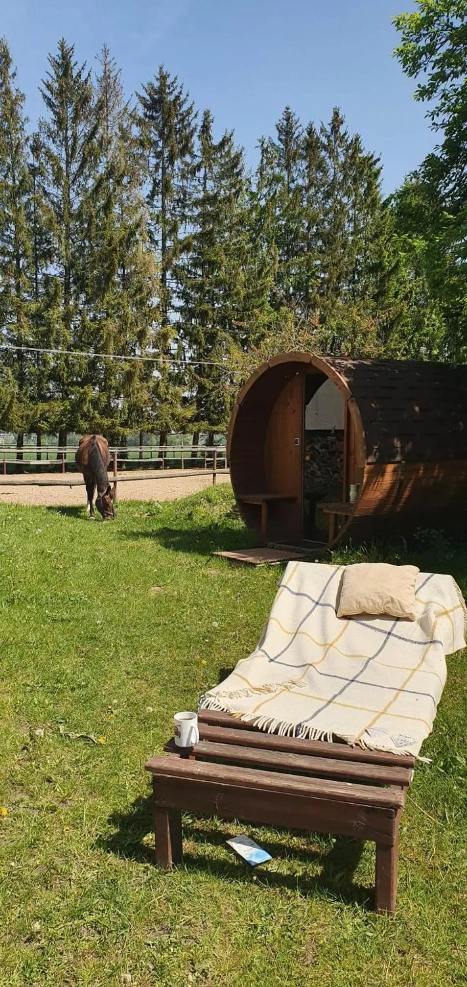Garden in Kurnik Polski agroturystyka