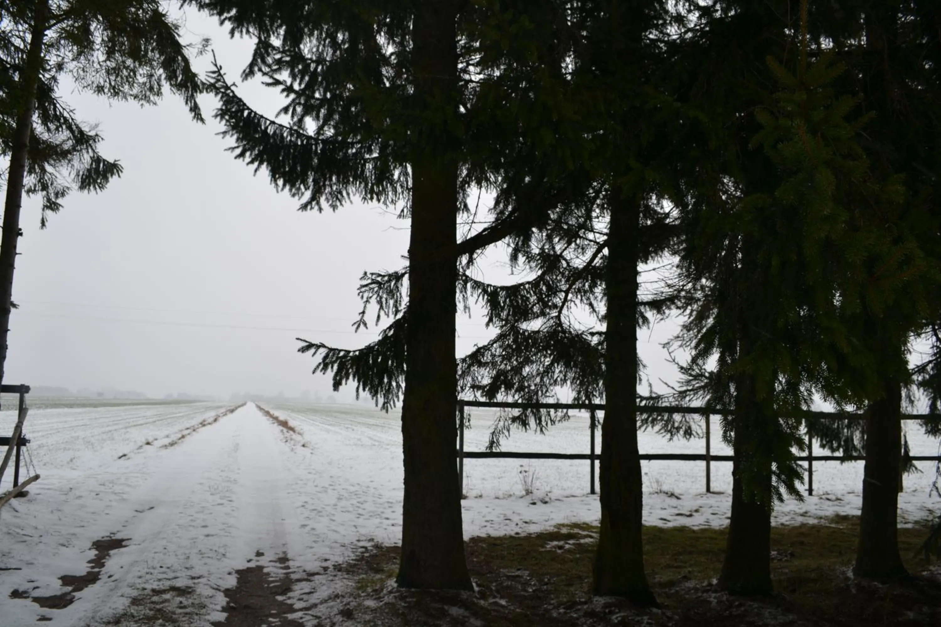 Natural landscape in Kurnik Polski agroturystyka