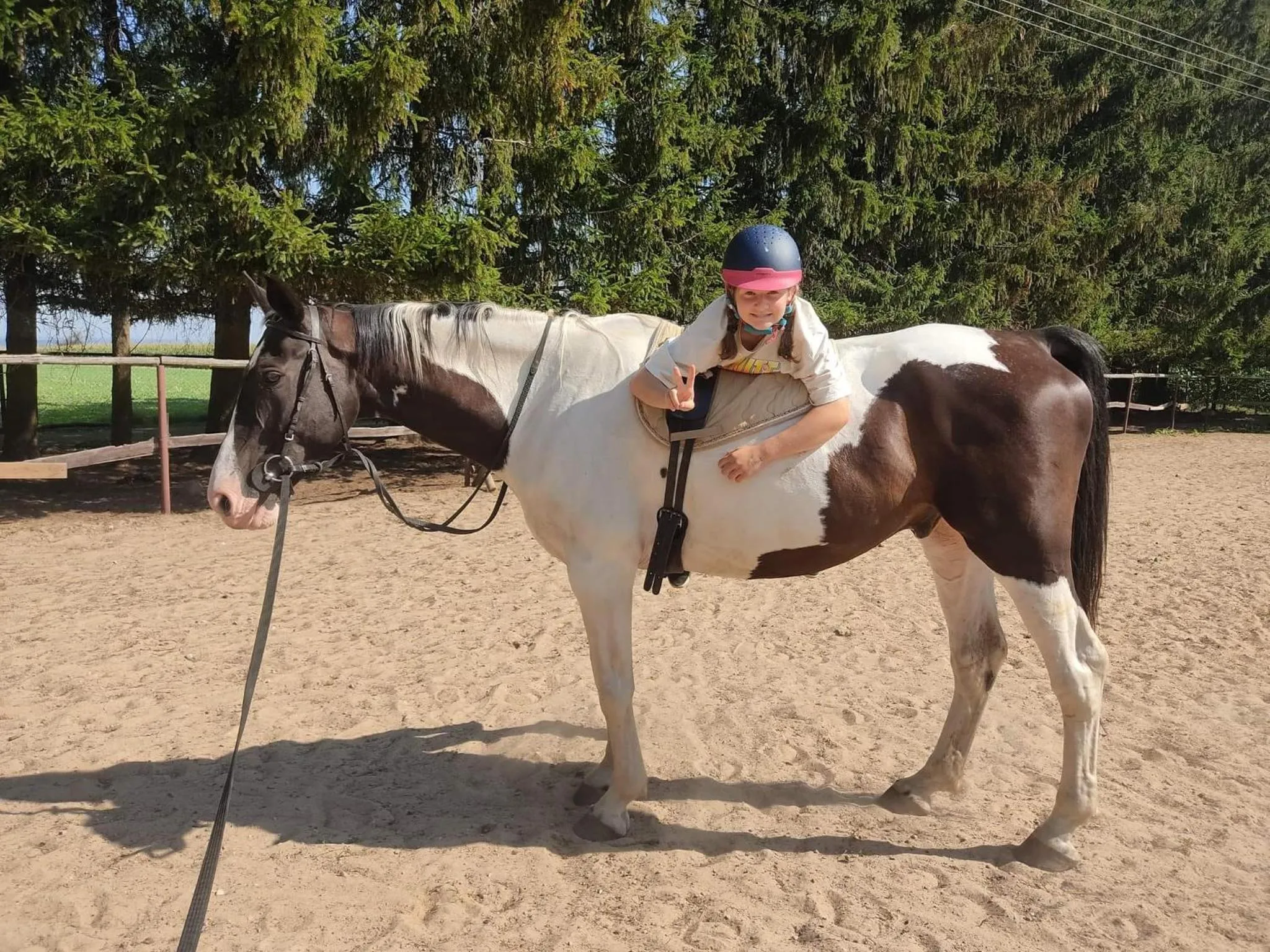 Horse-riding in Kurnik Polski agroturystyka