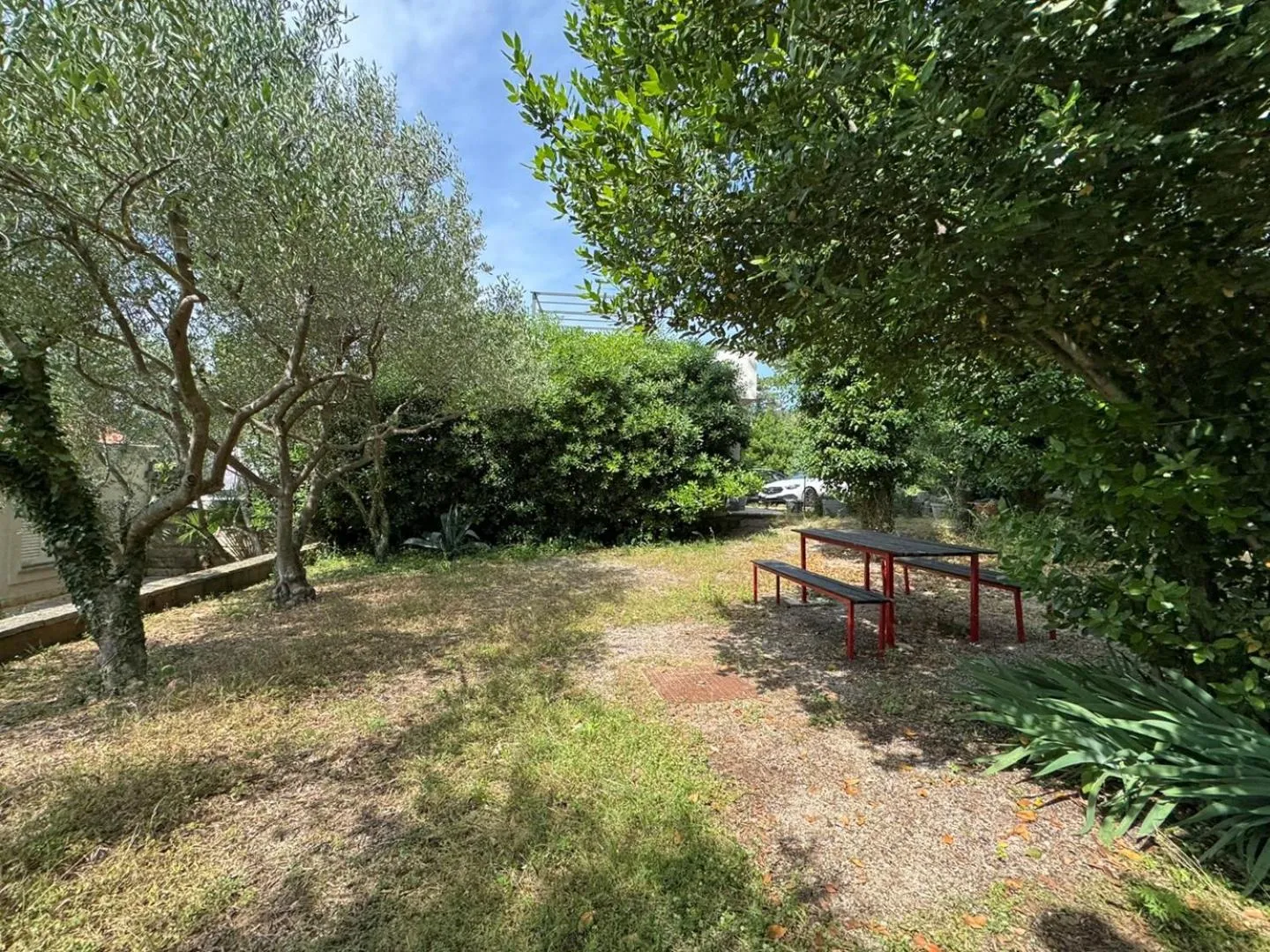 Apartments Scheich