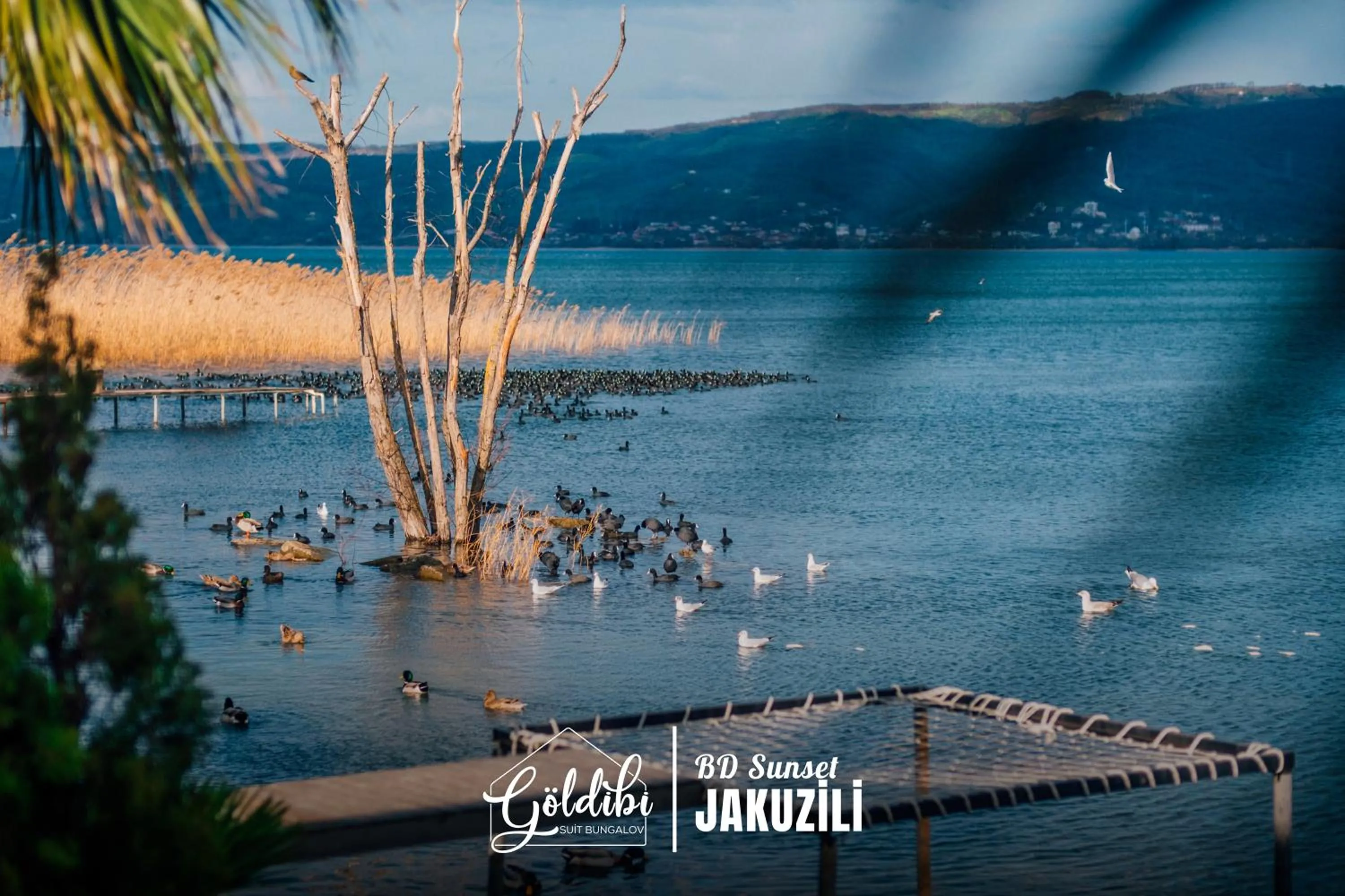 Lake view in Sapanca Göldibi Suit Bungalov