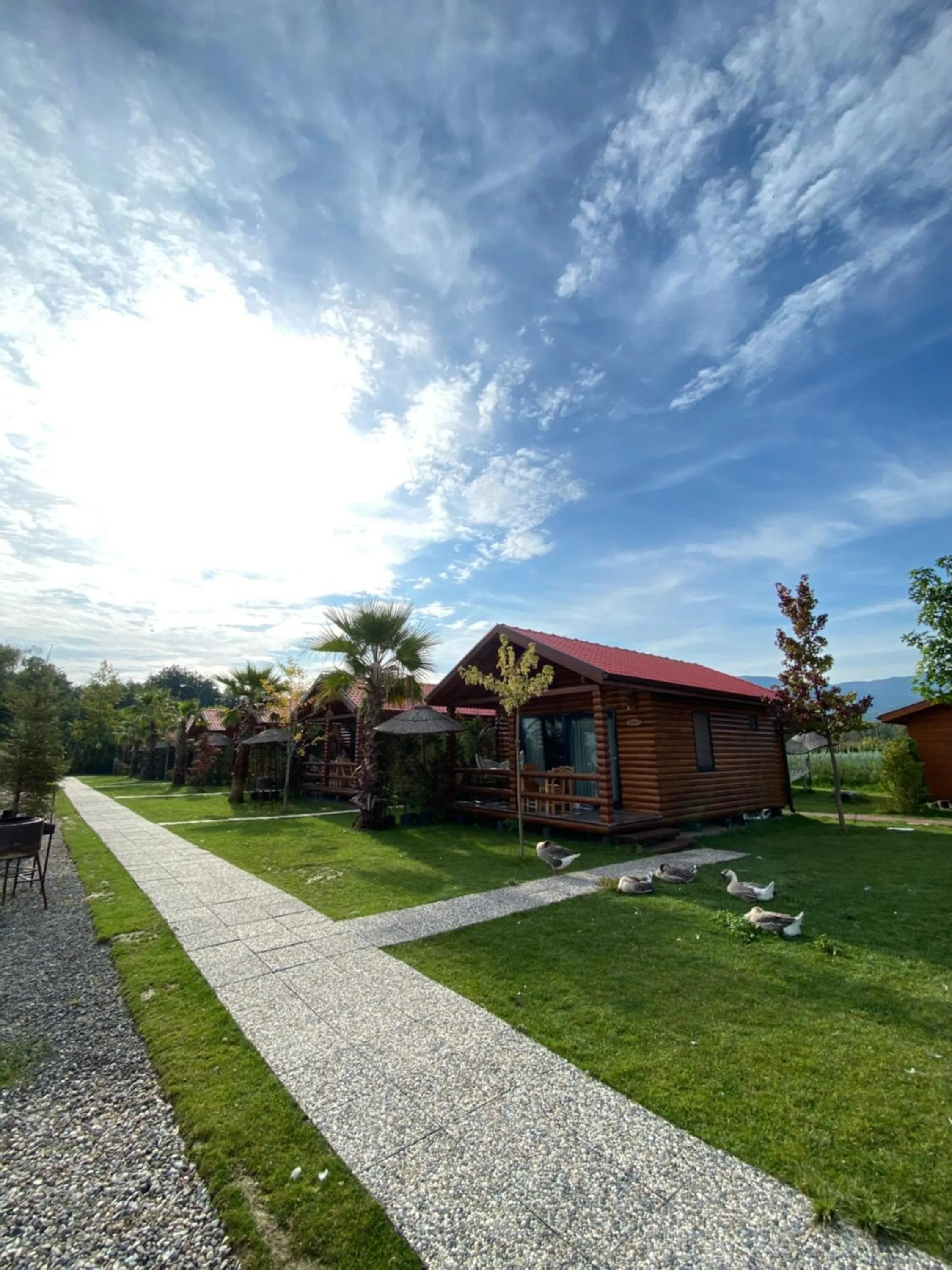 Day in Sapanca Göldibi Suit Bungalov