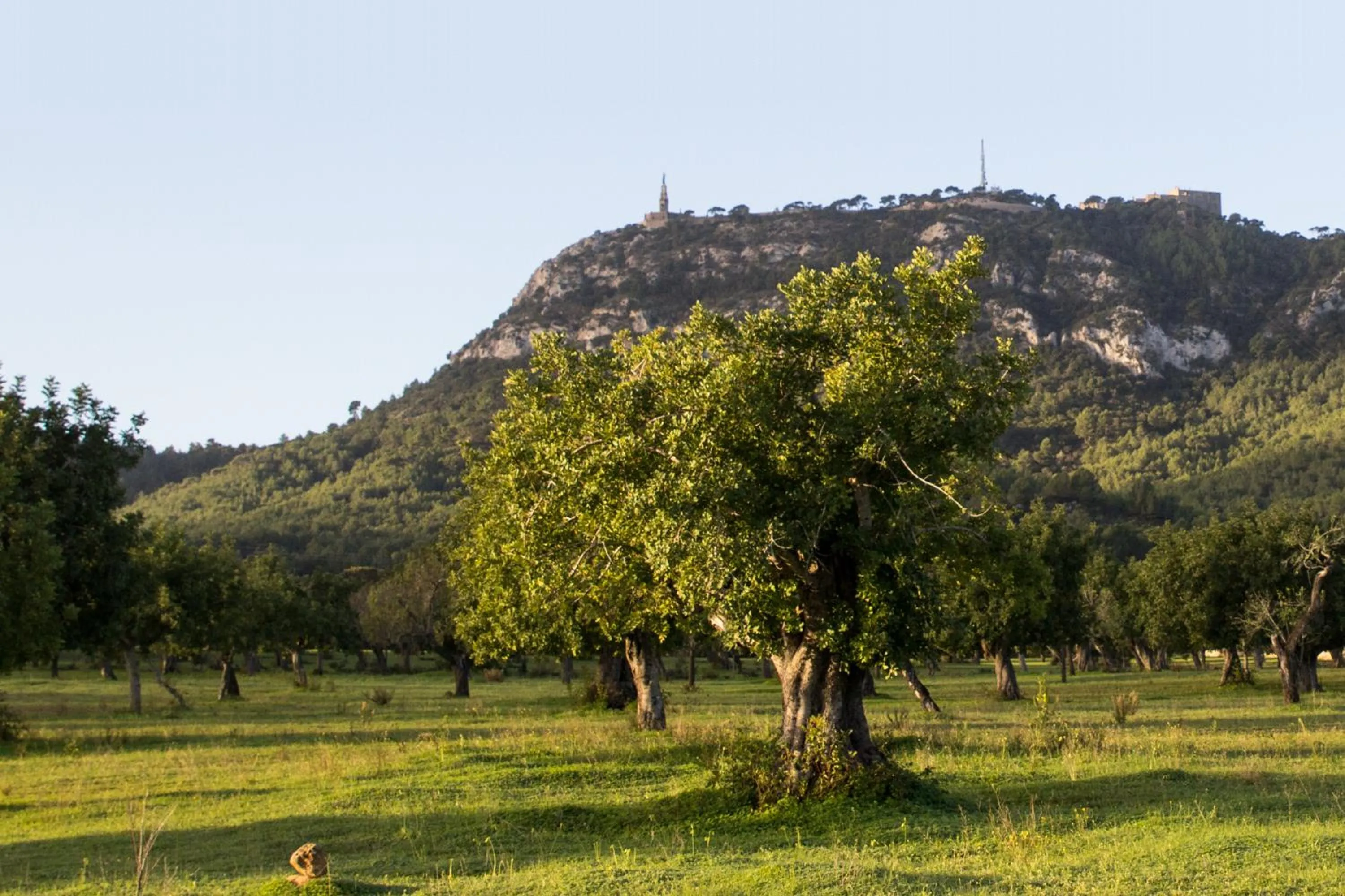 Natural landscape in Petit Hotel Hostatgeria Sant Salvador