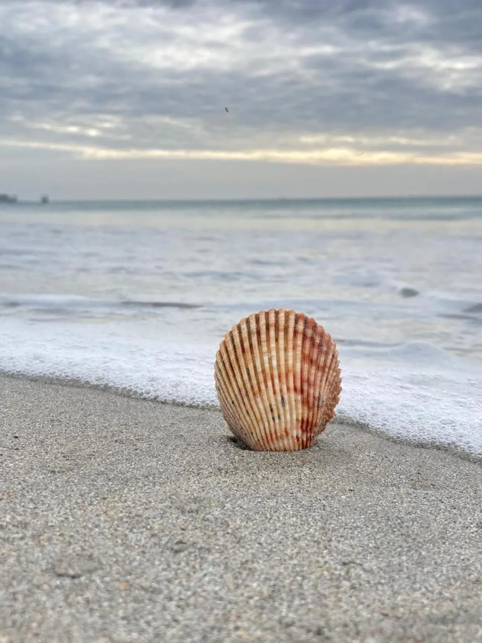 Beach in Ceylon Beach haven Uppuveli