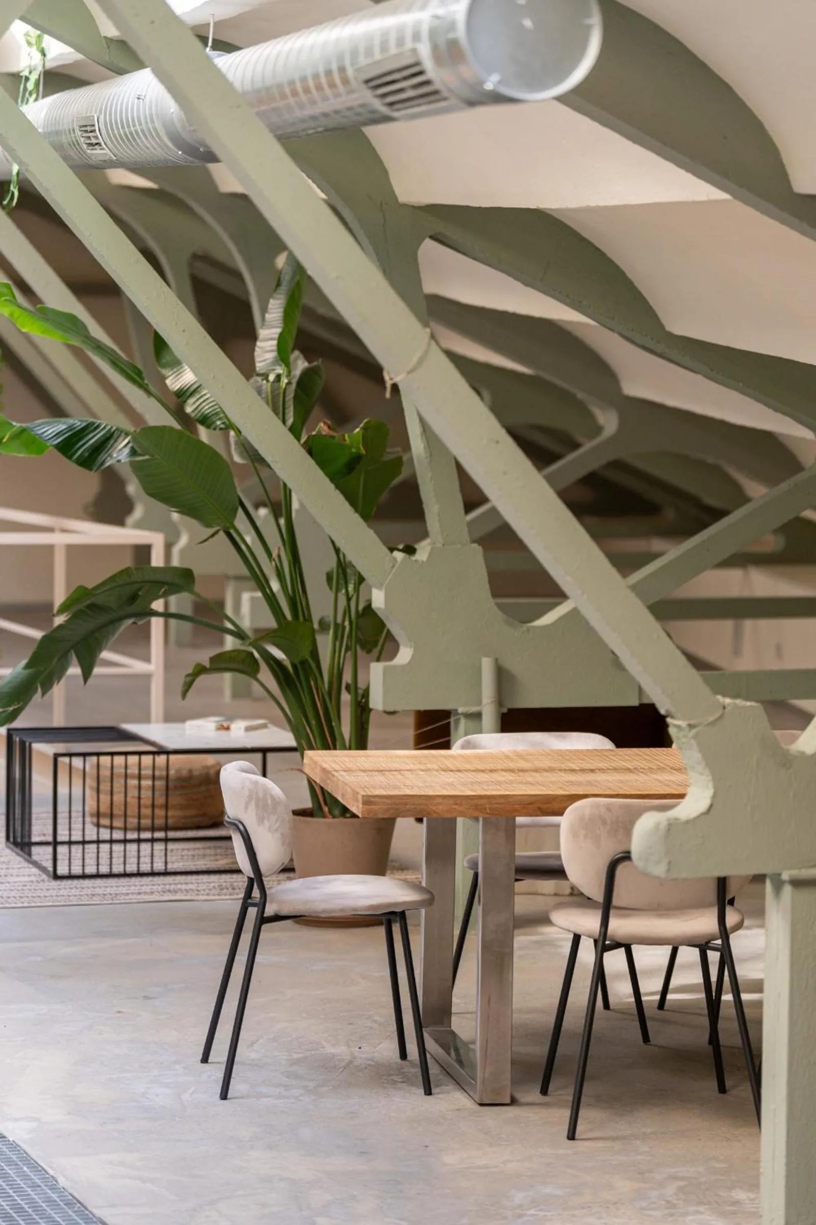 Other in Ola Living Hostal Tetuan