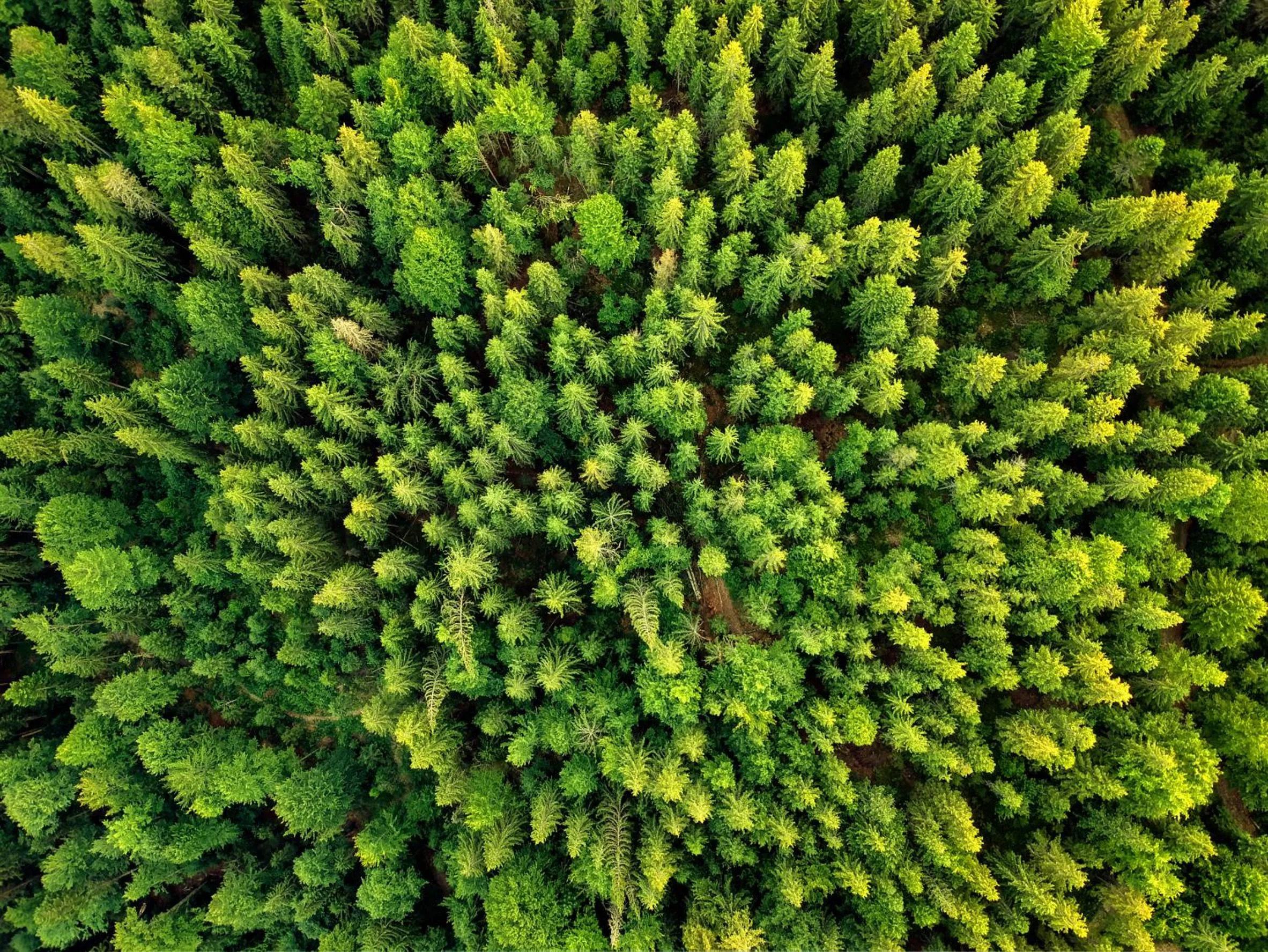 Spring in REGIOHOTEL Harzresidenz Wernigerode - #Familienfreundlich #FrischRenoviert #Waschmaschine #FreeParking