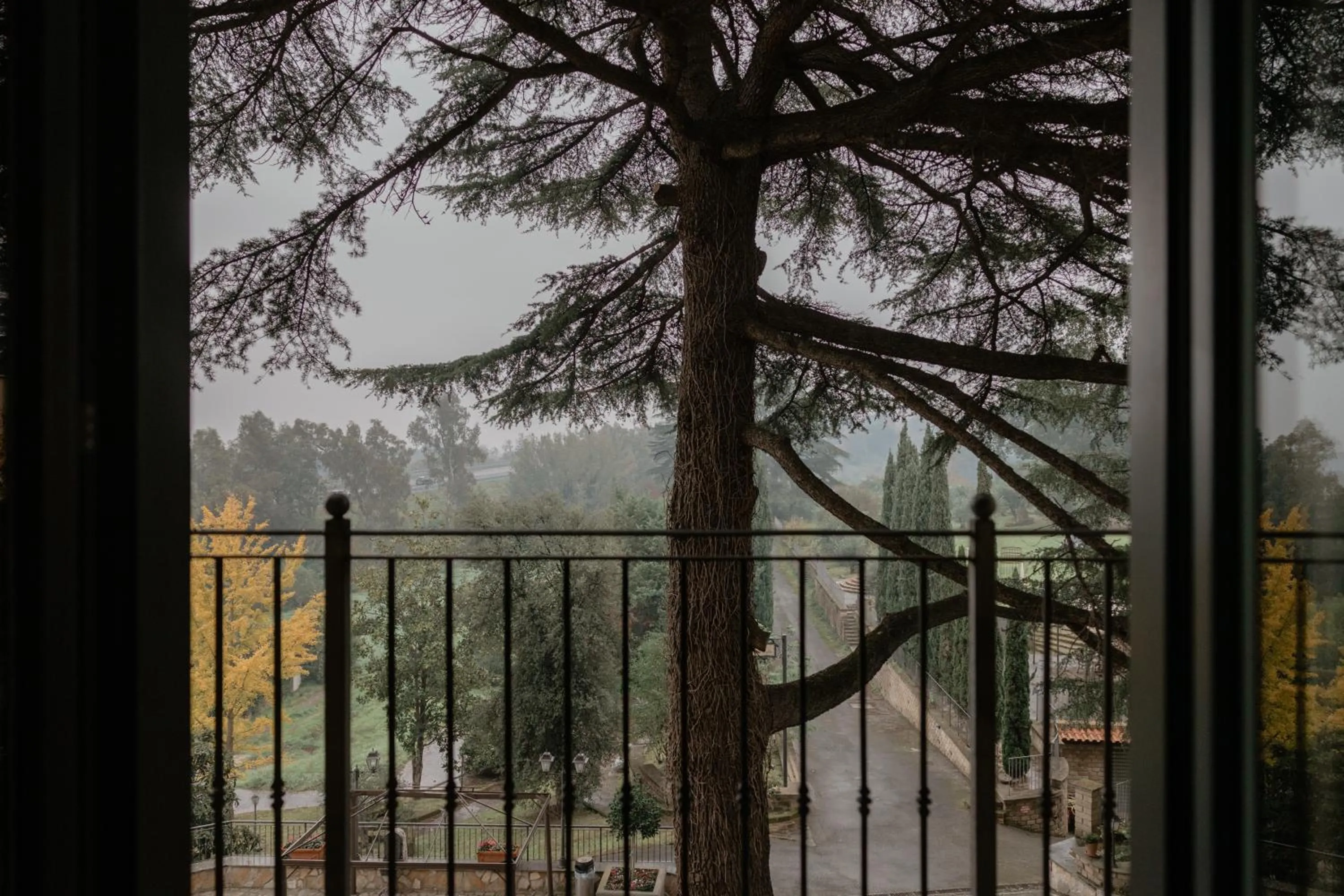 View (from property/room) in Green Hotel Poggio Regillo