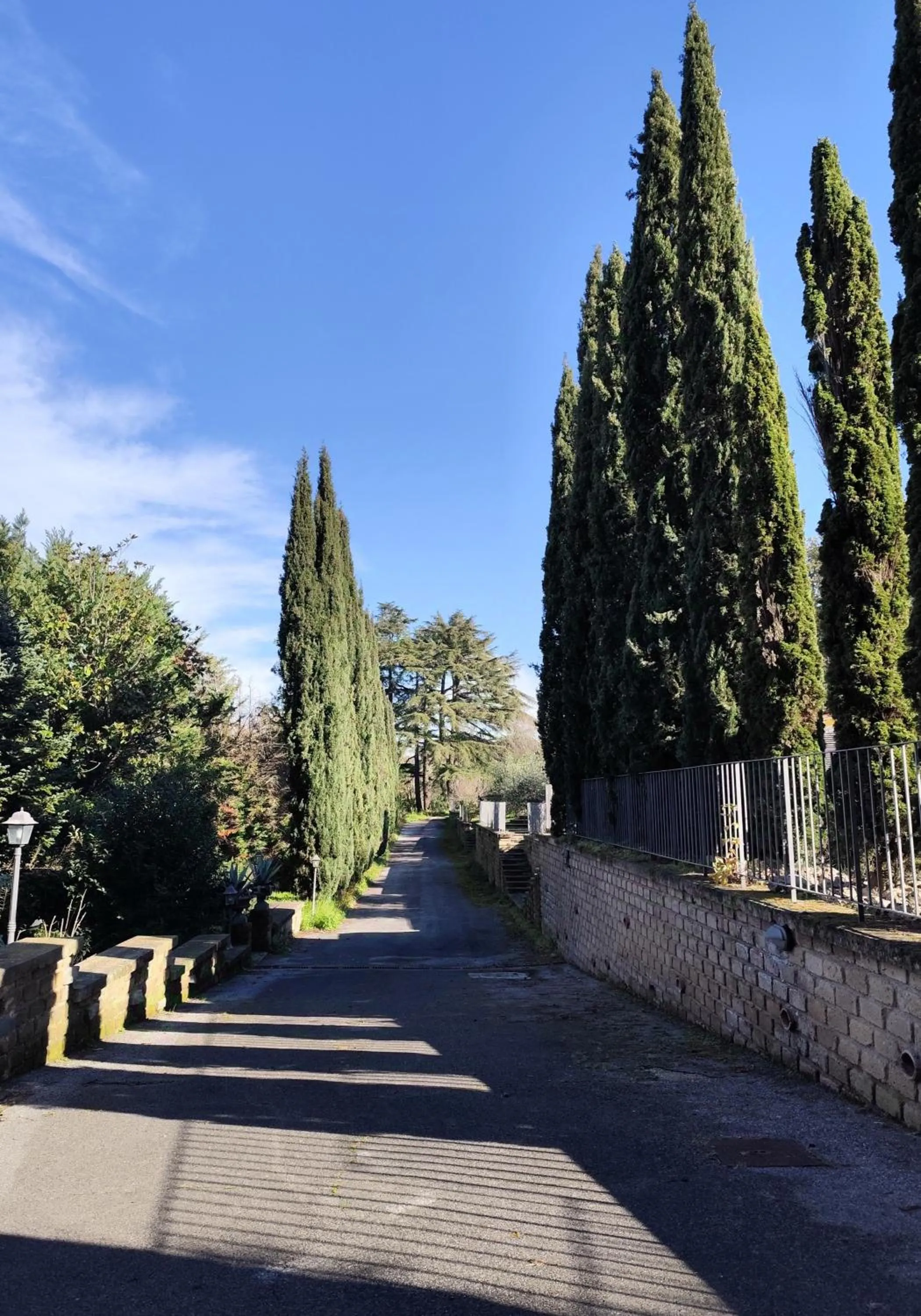 Natural landscape in Green Hotel Poggio Regillo