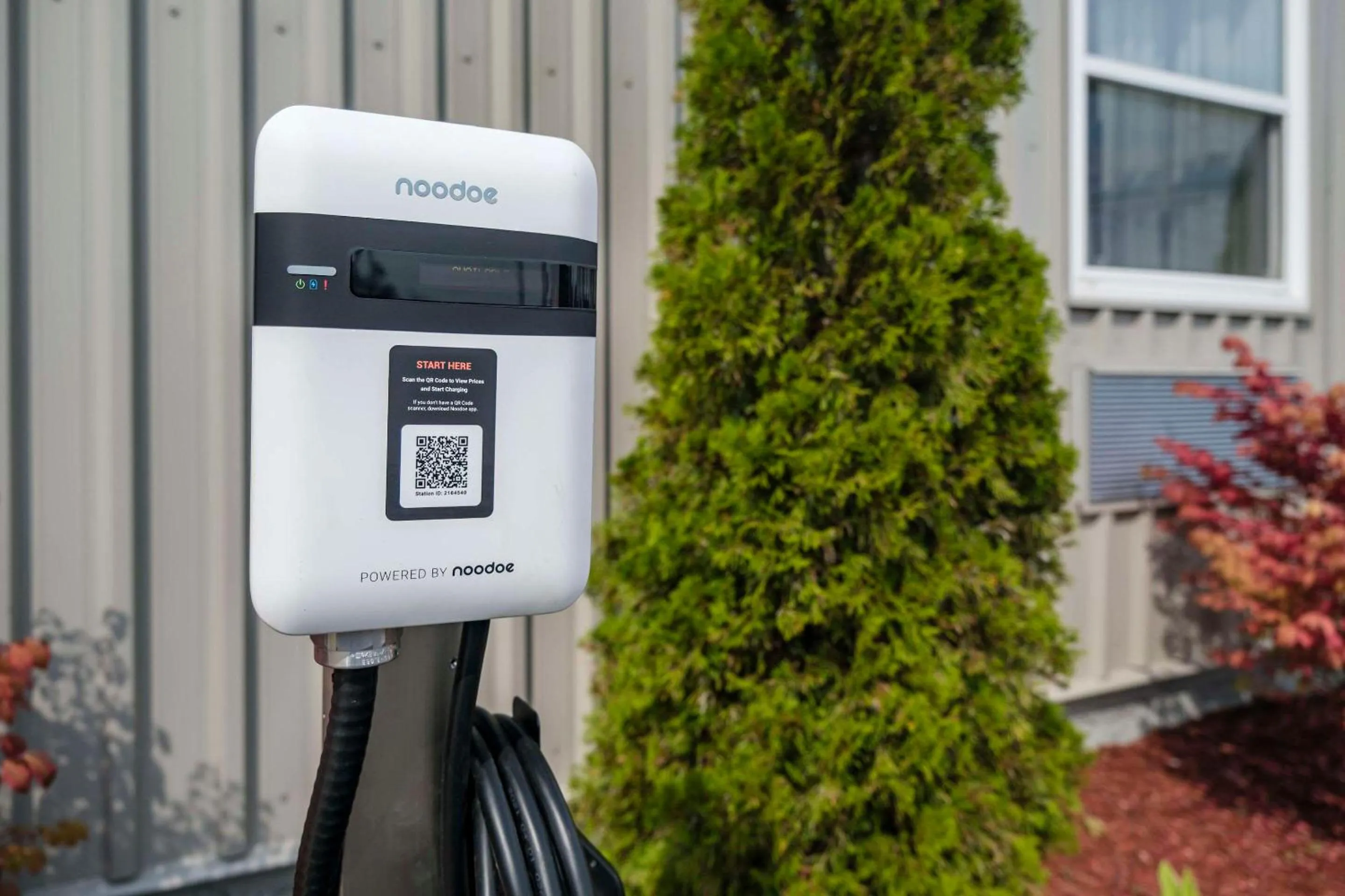 Other in Comfort Inn - Gander