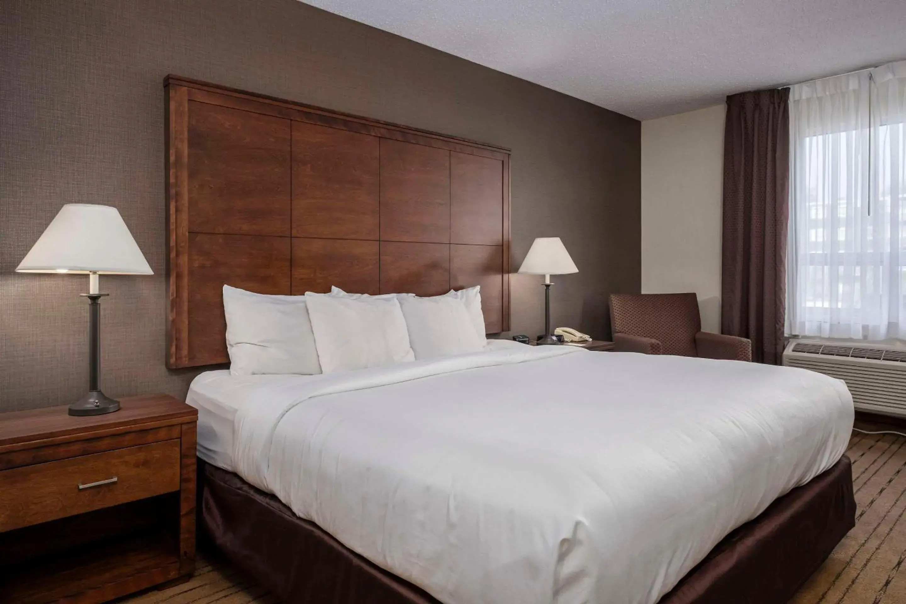 Bedroom, Bed in Comfort Inn - Gander Bedroom, Bed in Comfort Inn - Gander