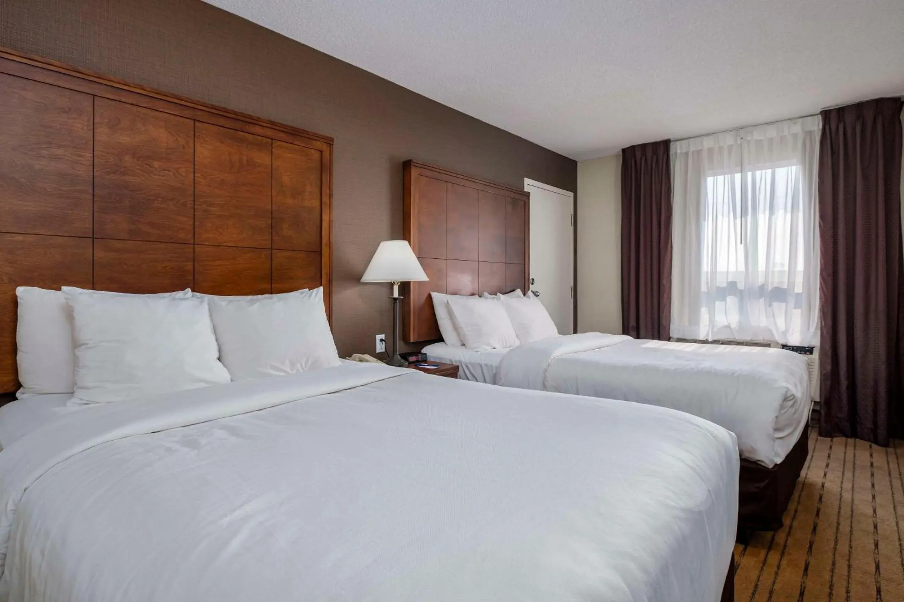 Bedroom, Bed in Comfort Inn - Gander Bedroom, Bed in Comfort Inn - Gander