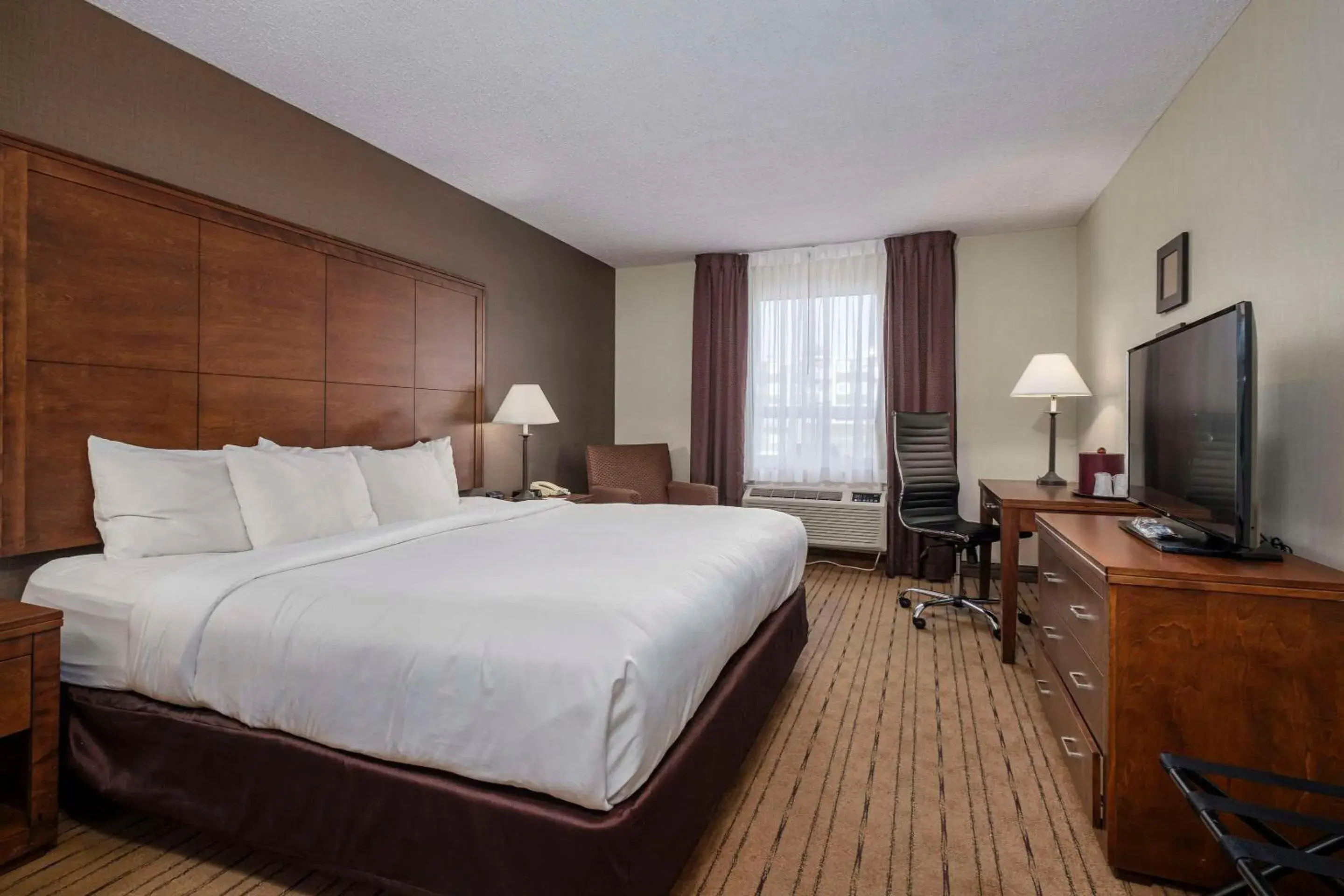 Bedroom, Bed in Comfort Inn - Gander Bedroom, Bed in Comfort Inn - Gander