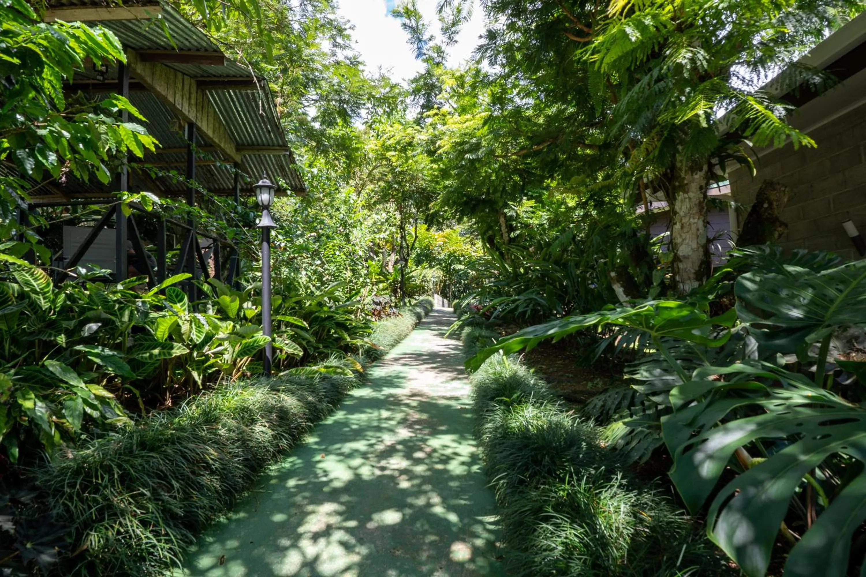 Garden in Cabañas Green House