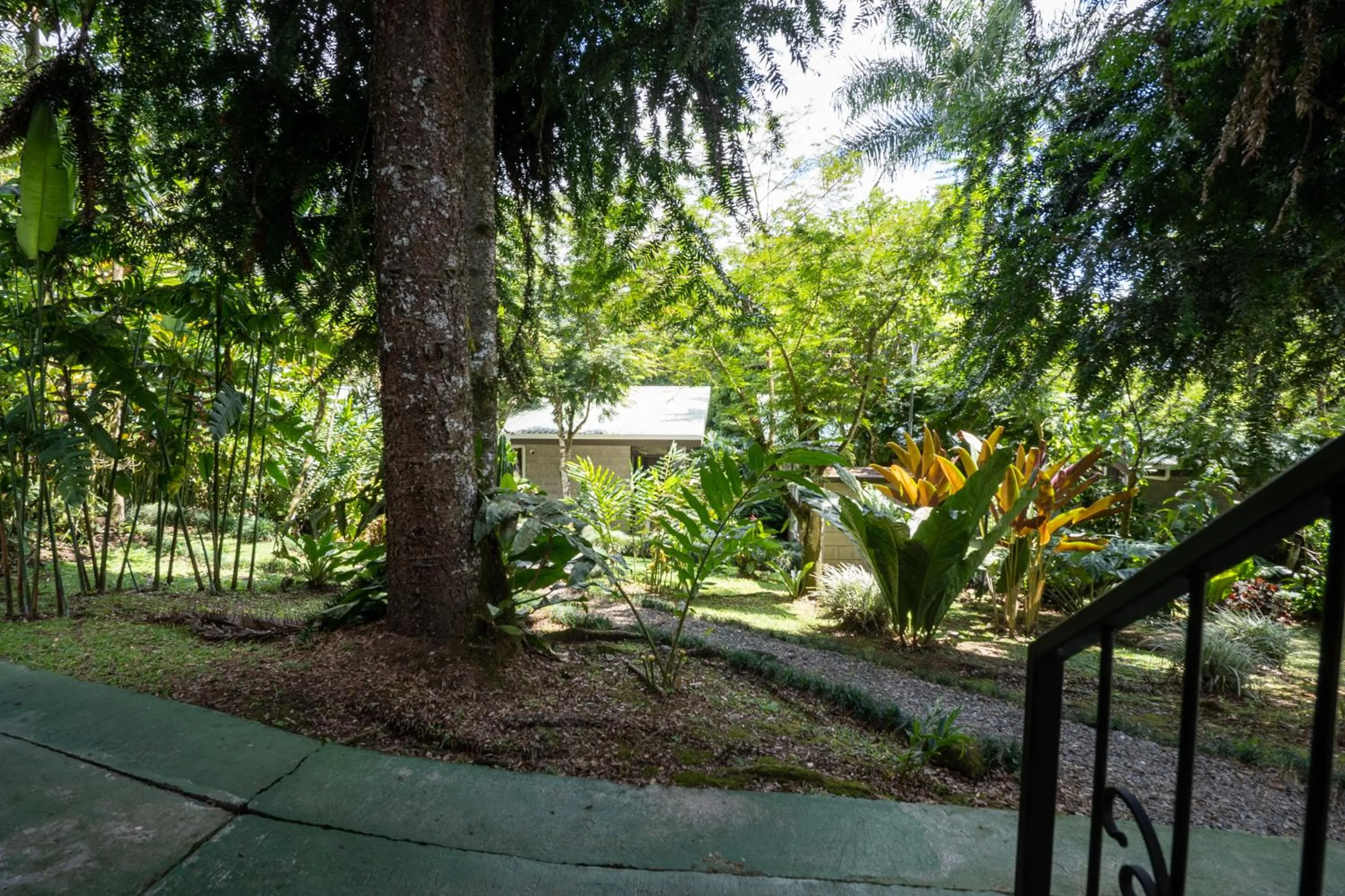 Garden in Cabañas Green House