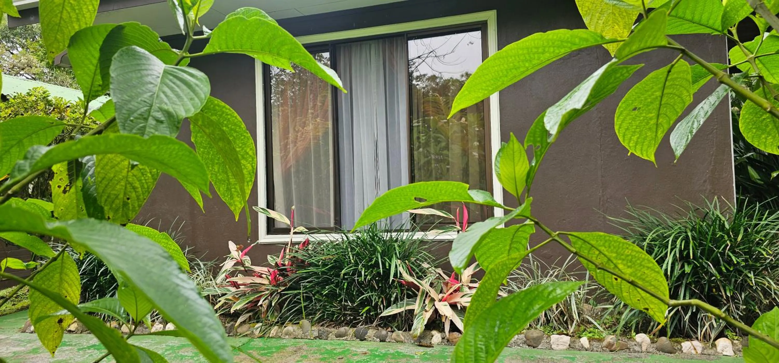 Cabañas Green House