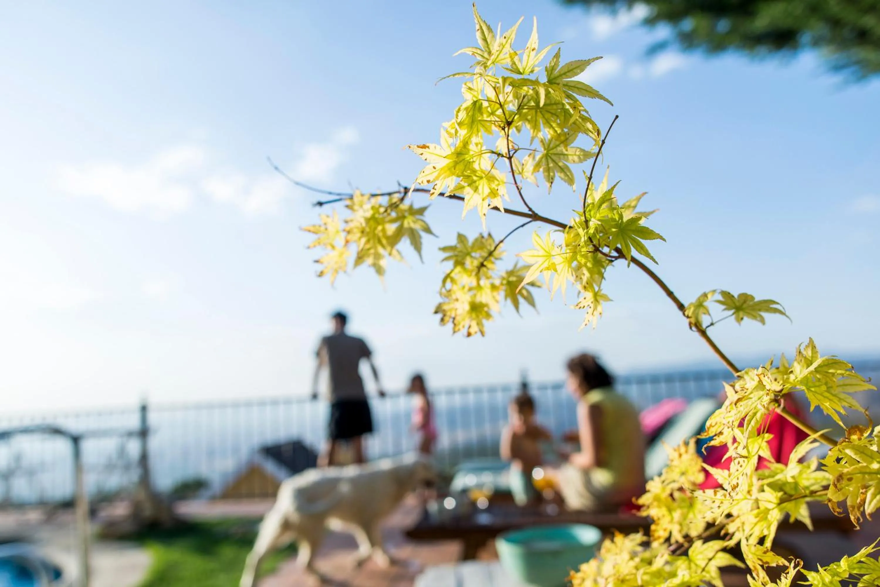 Garden in Hotel El Balcon de las nieves