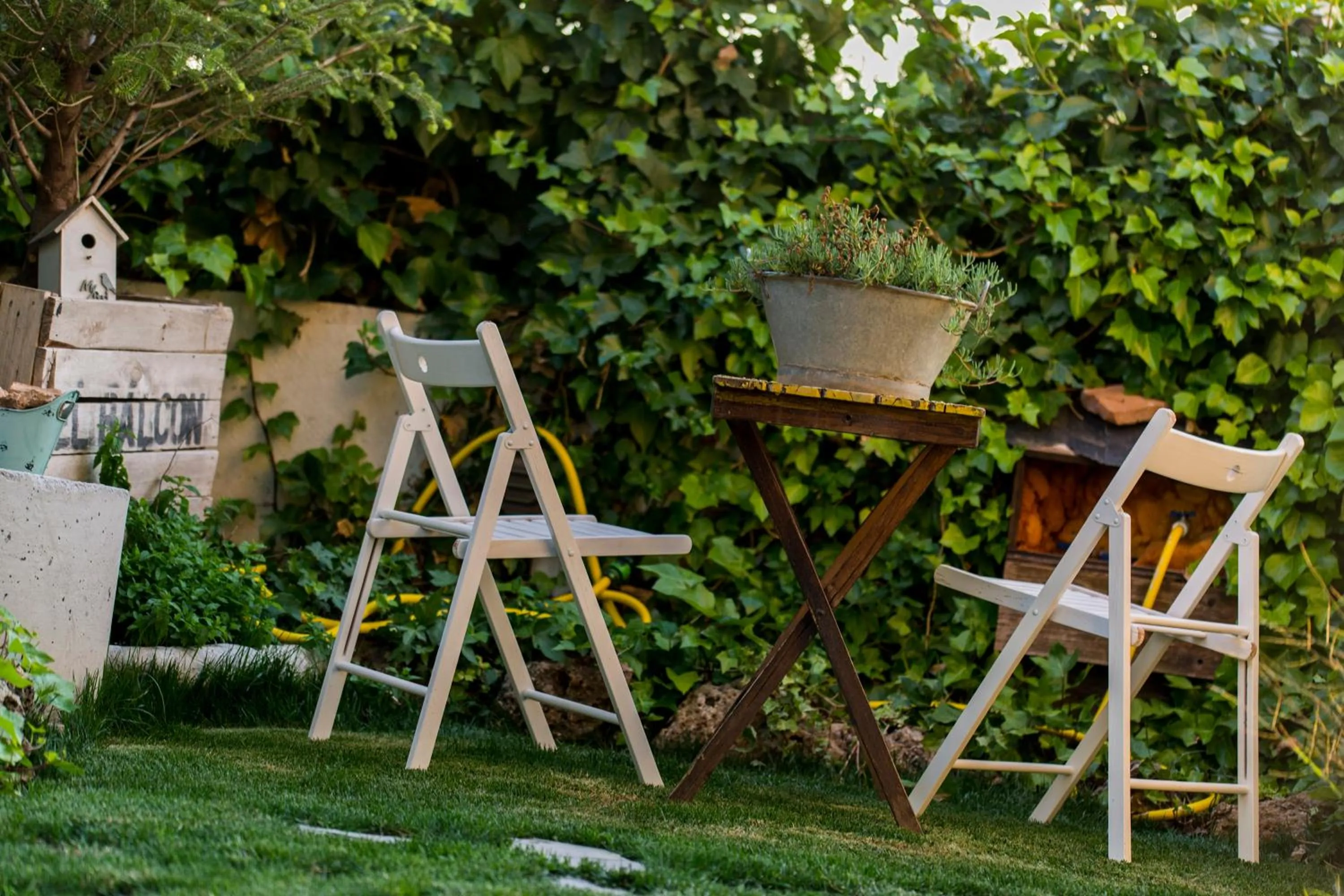Garden in Hotel El Balcon de las nieves