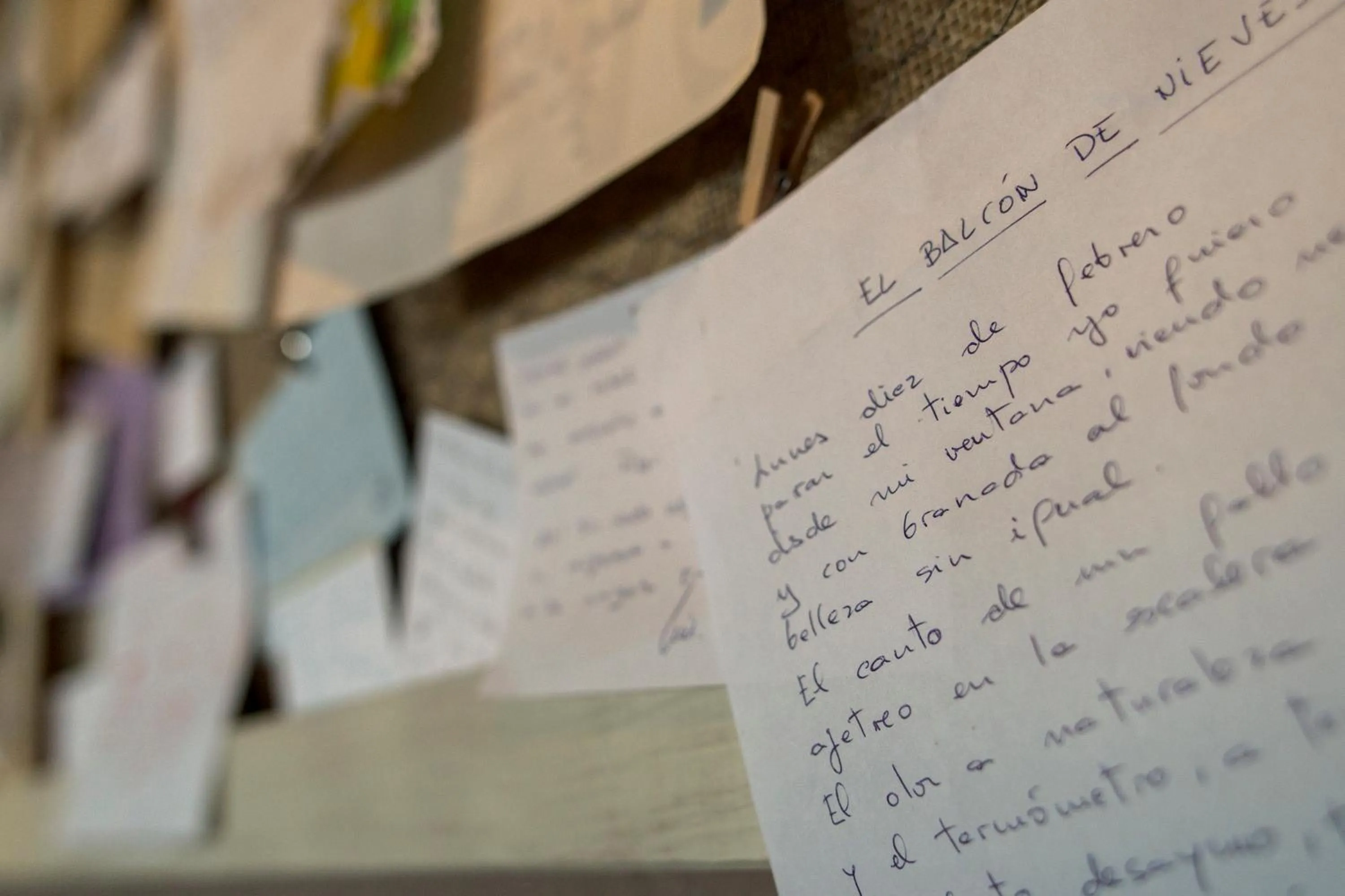 Decorative detail in Hotel El Balcon de las nieves