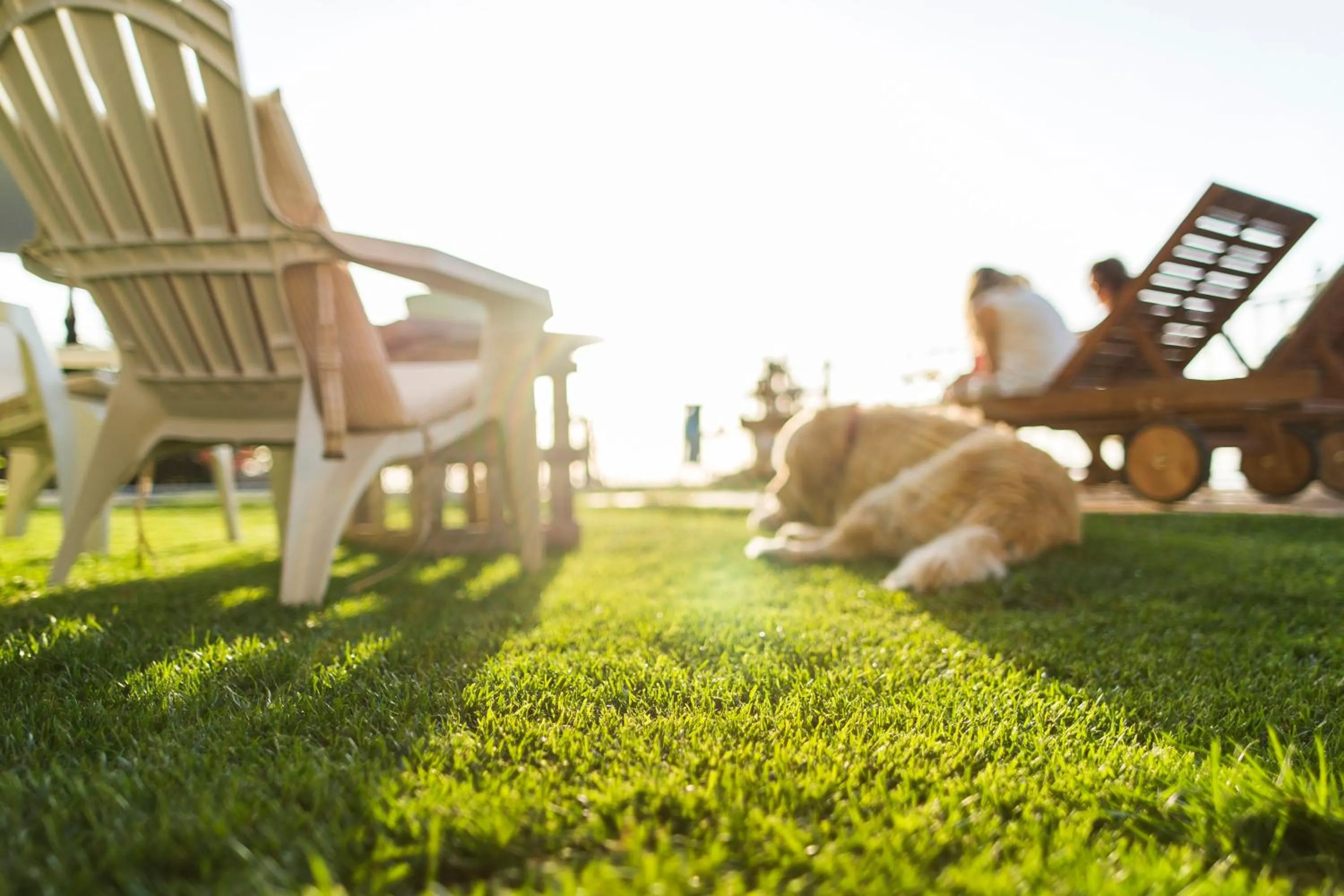 Garden in Hotel El Balcon de las nieves
