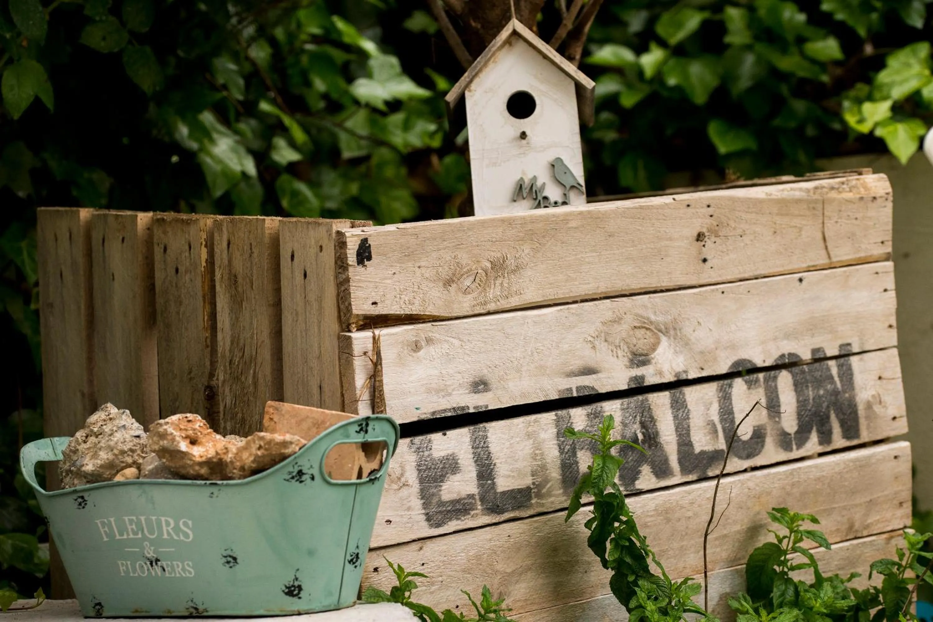 Garden in Hotel El Balcon de las nieves