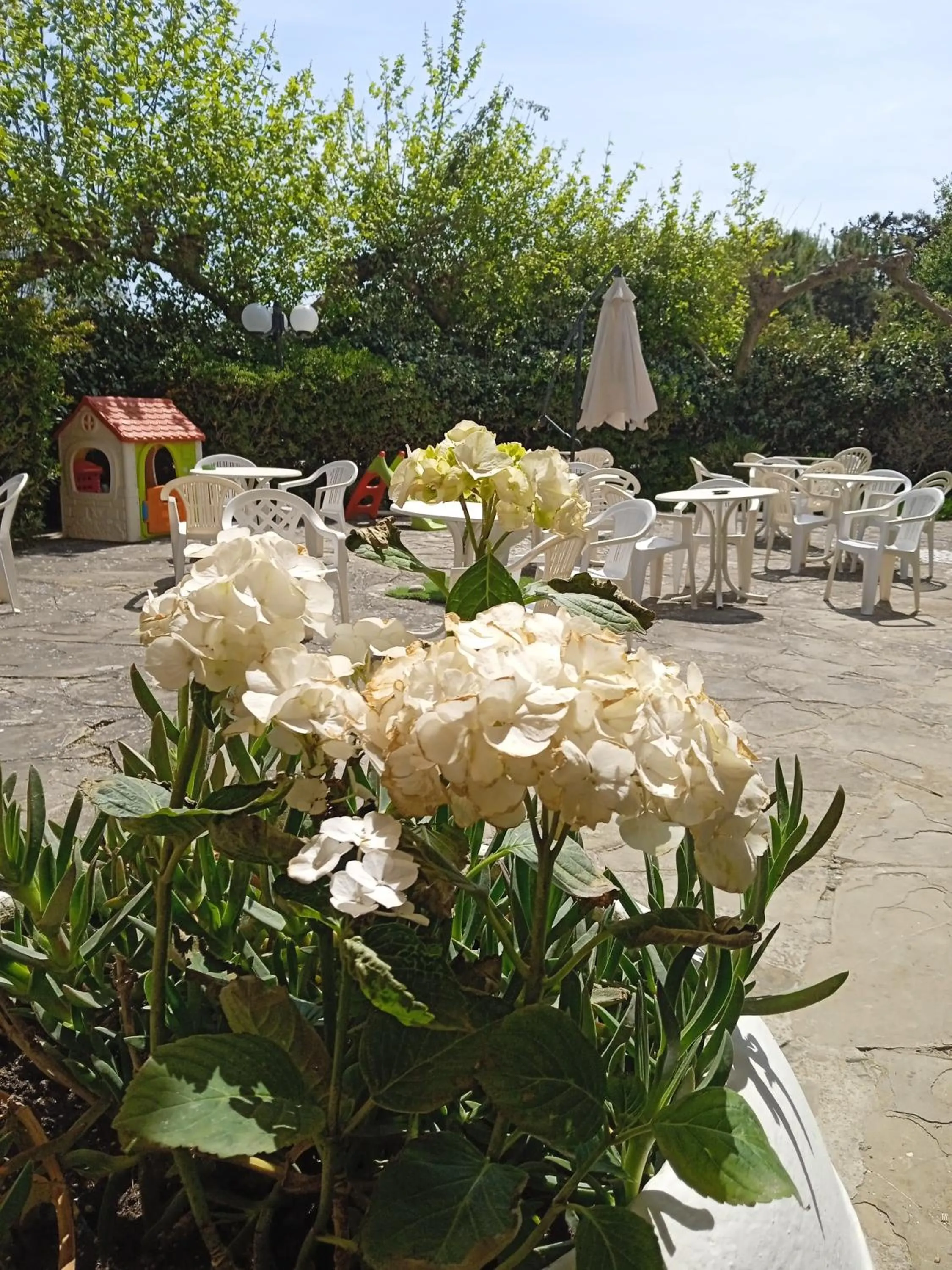 Garden in Hotel Buenos Aires