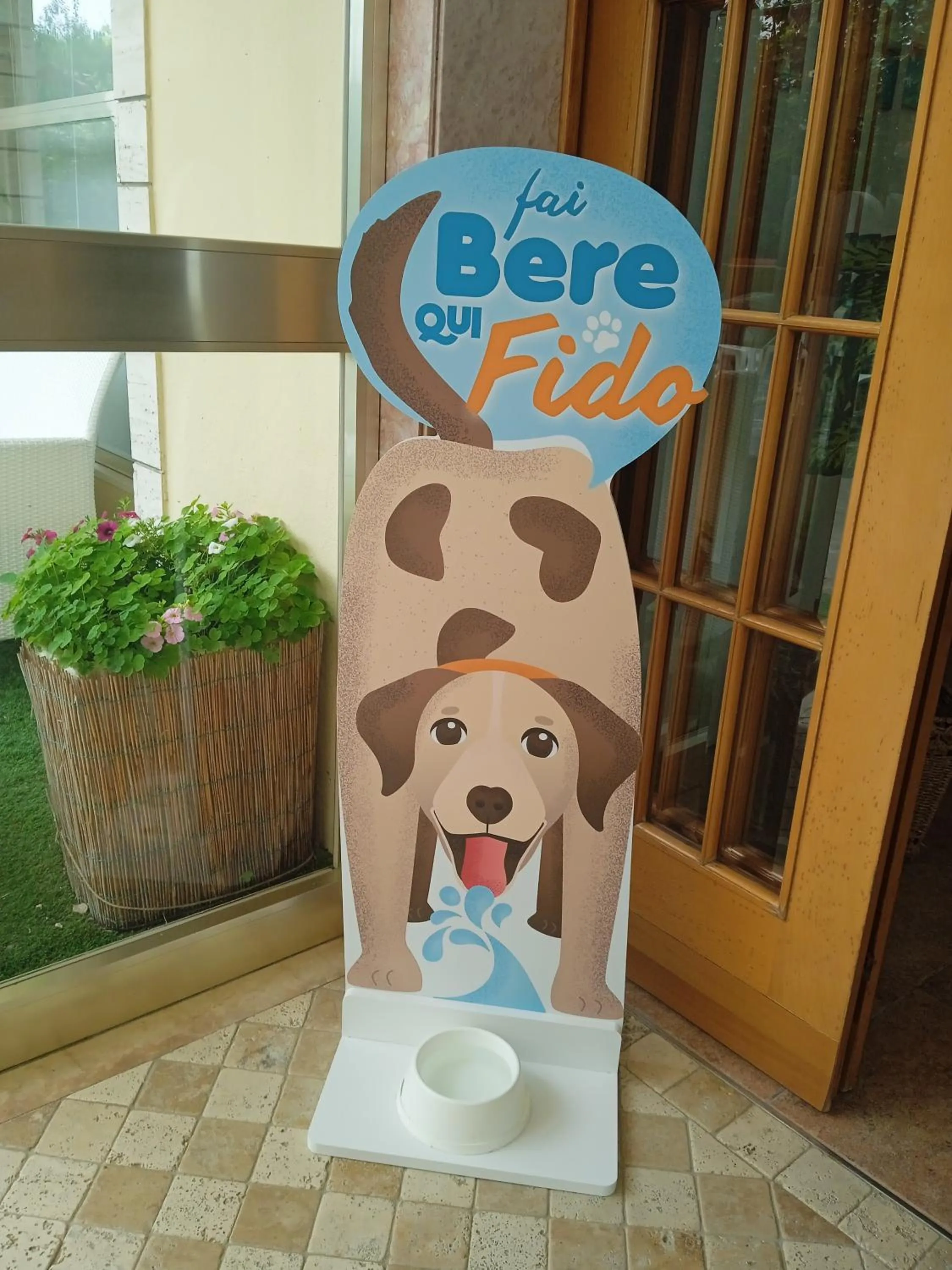 Animals in Hotel Buenos Aires