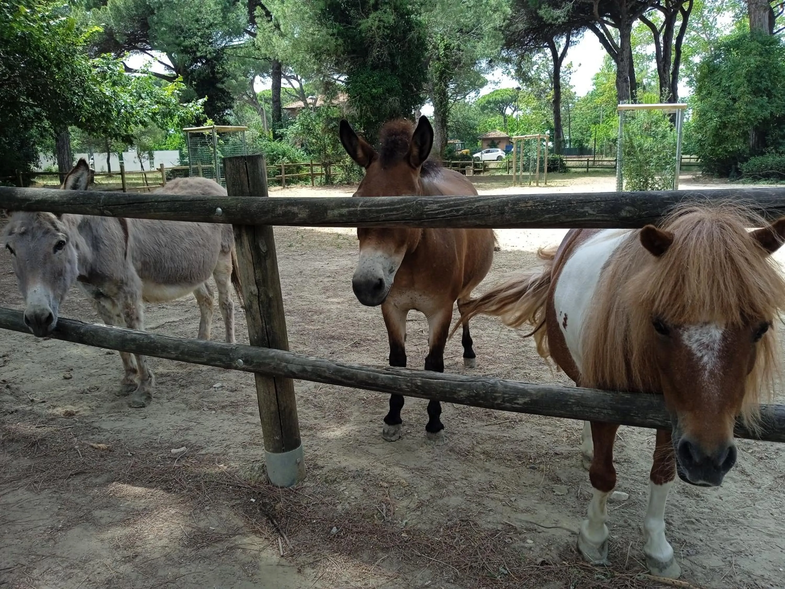 Activities in Hotel Buenos Aires