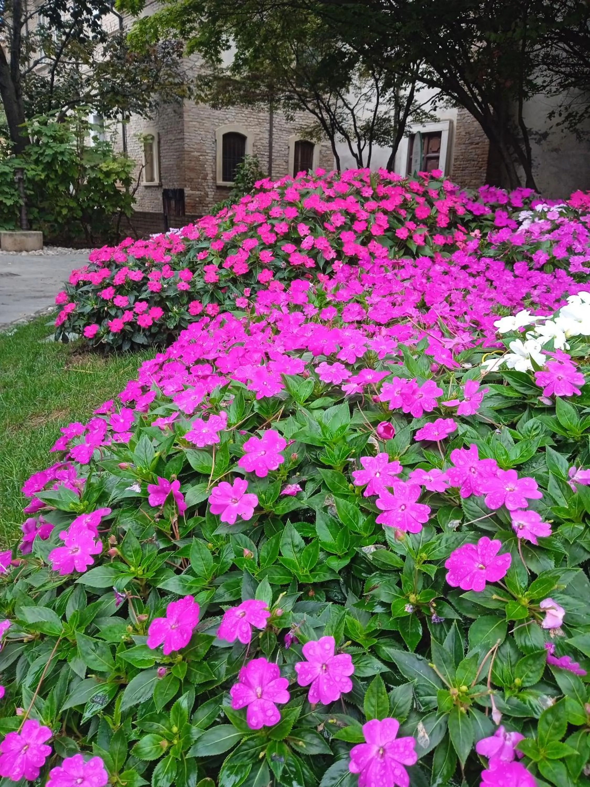 Natural landscape in Hotel Buenos Aires