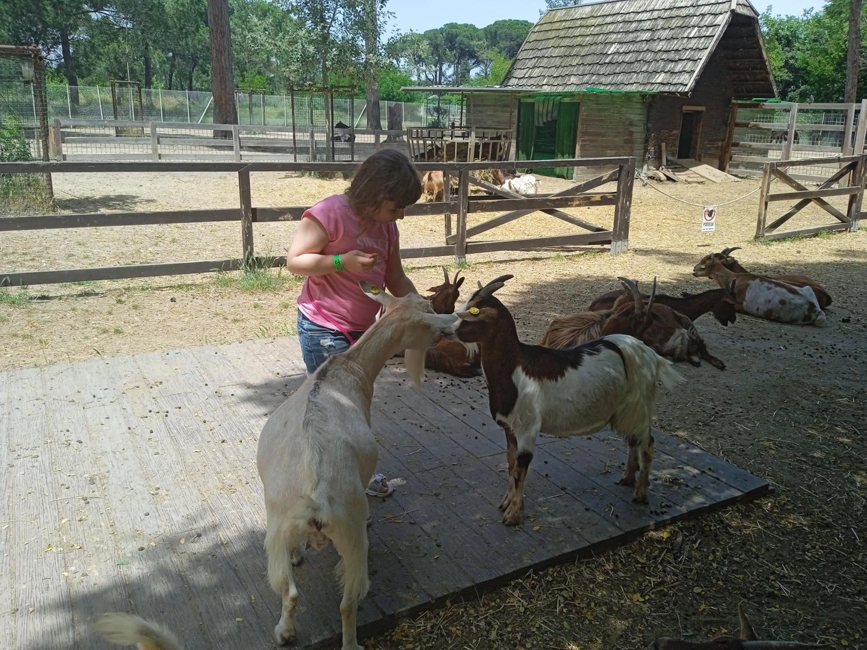 Activities in Hotel Buenos Aires