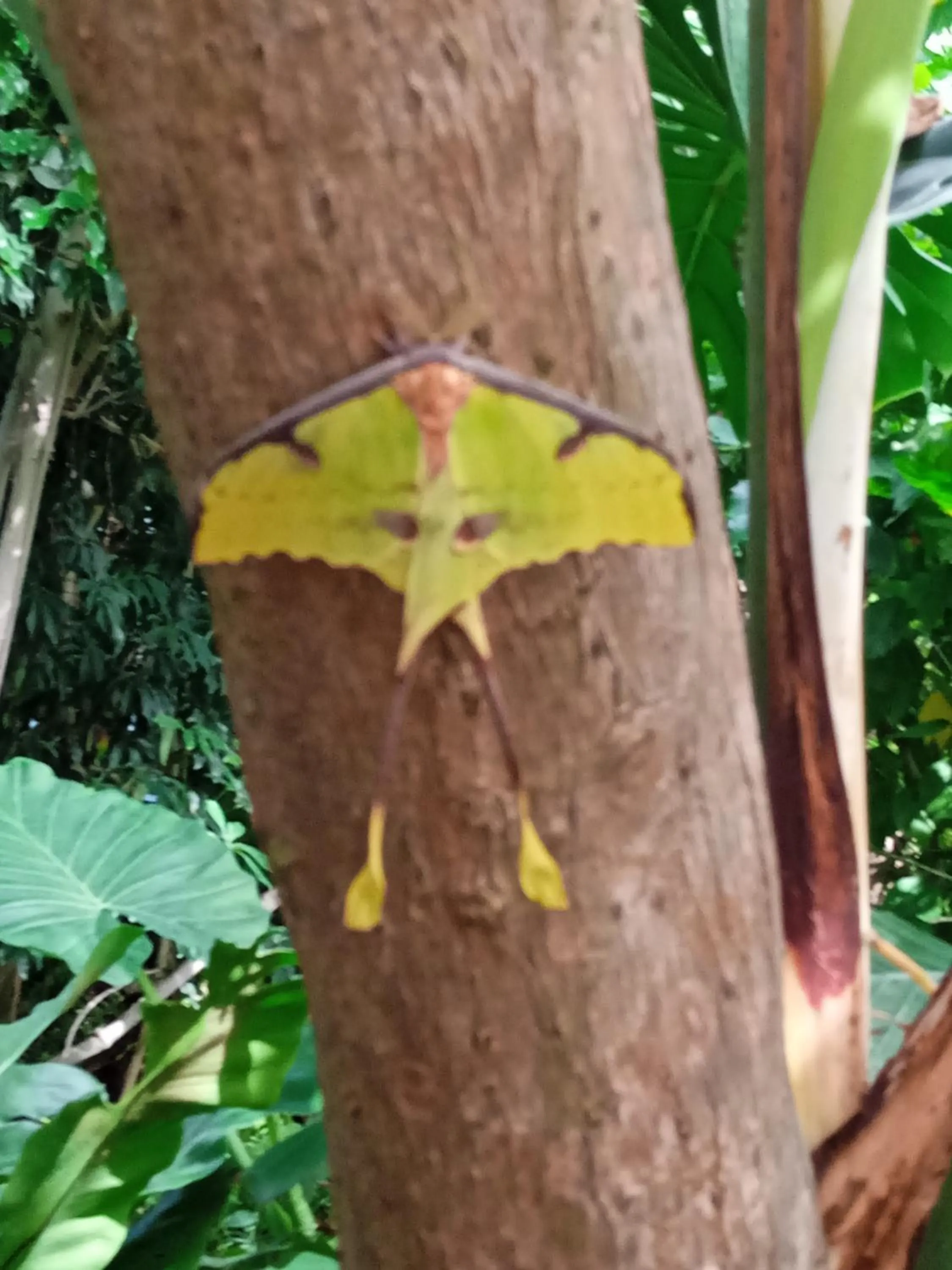 Activities in Hotel Buenos Aires