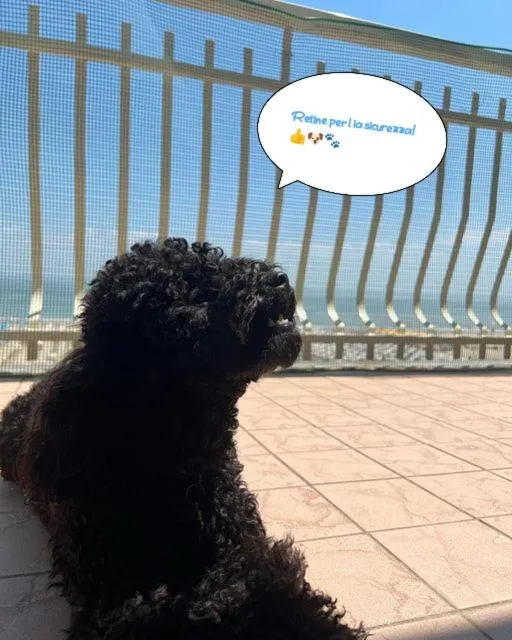 Balcony/Terrace in Hotel Buenos Aires