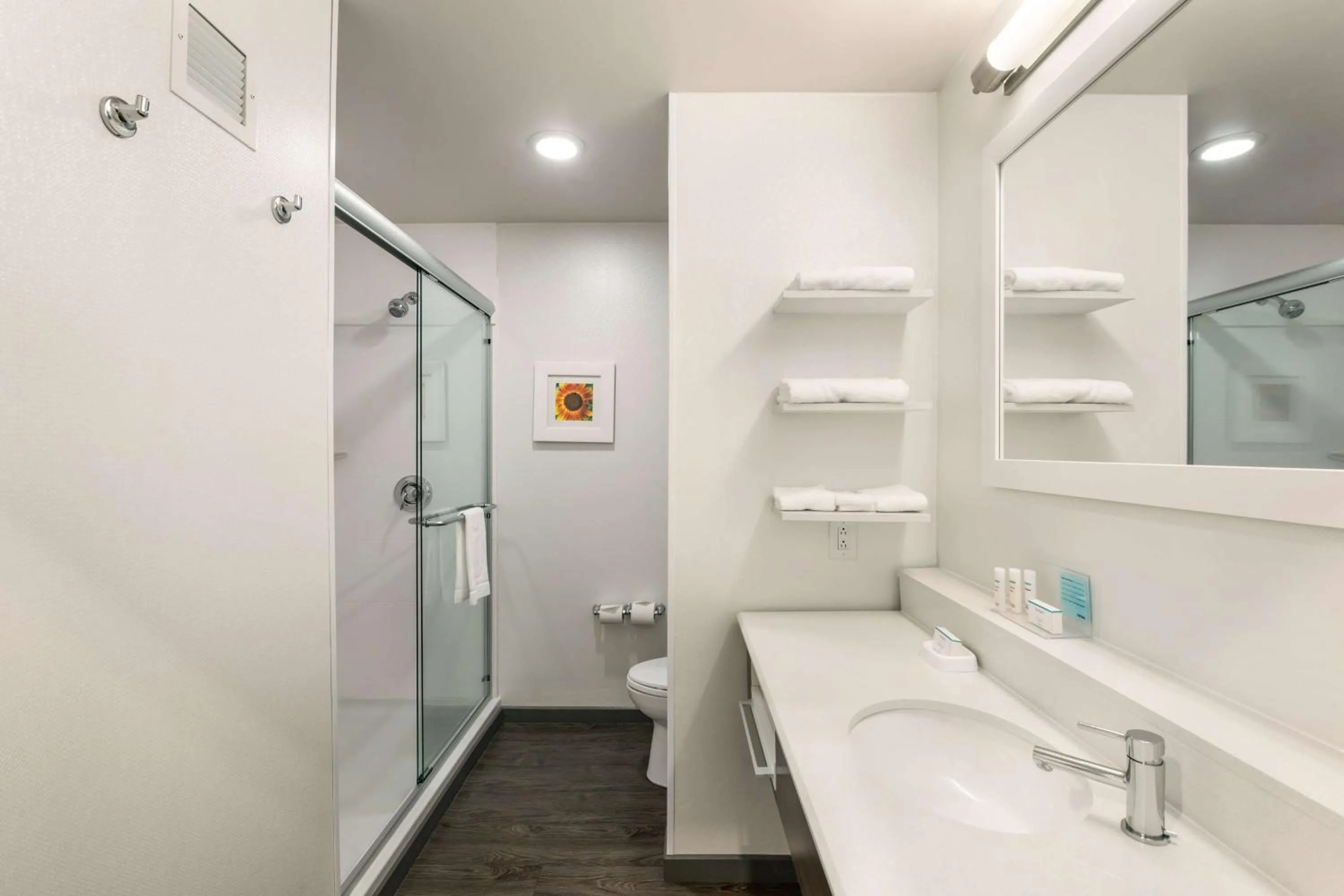 Bathroom in Hampton Inn & Suites - Lavonia, GA