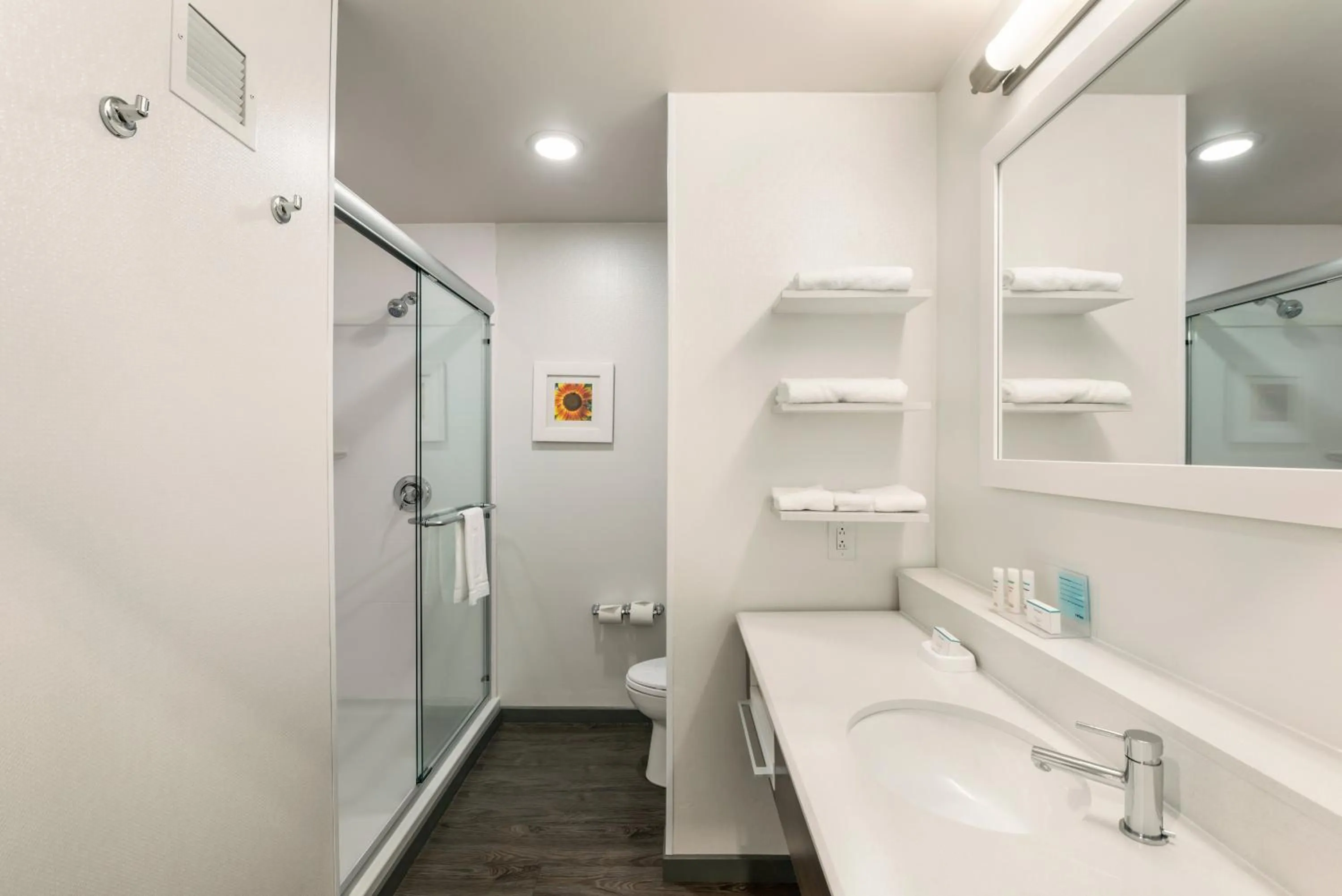 Bathroom in Hampton Inn & Suites - Lavonia, GA