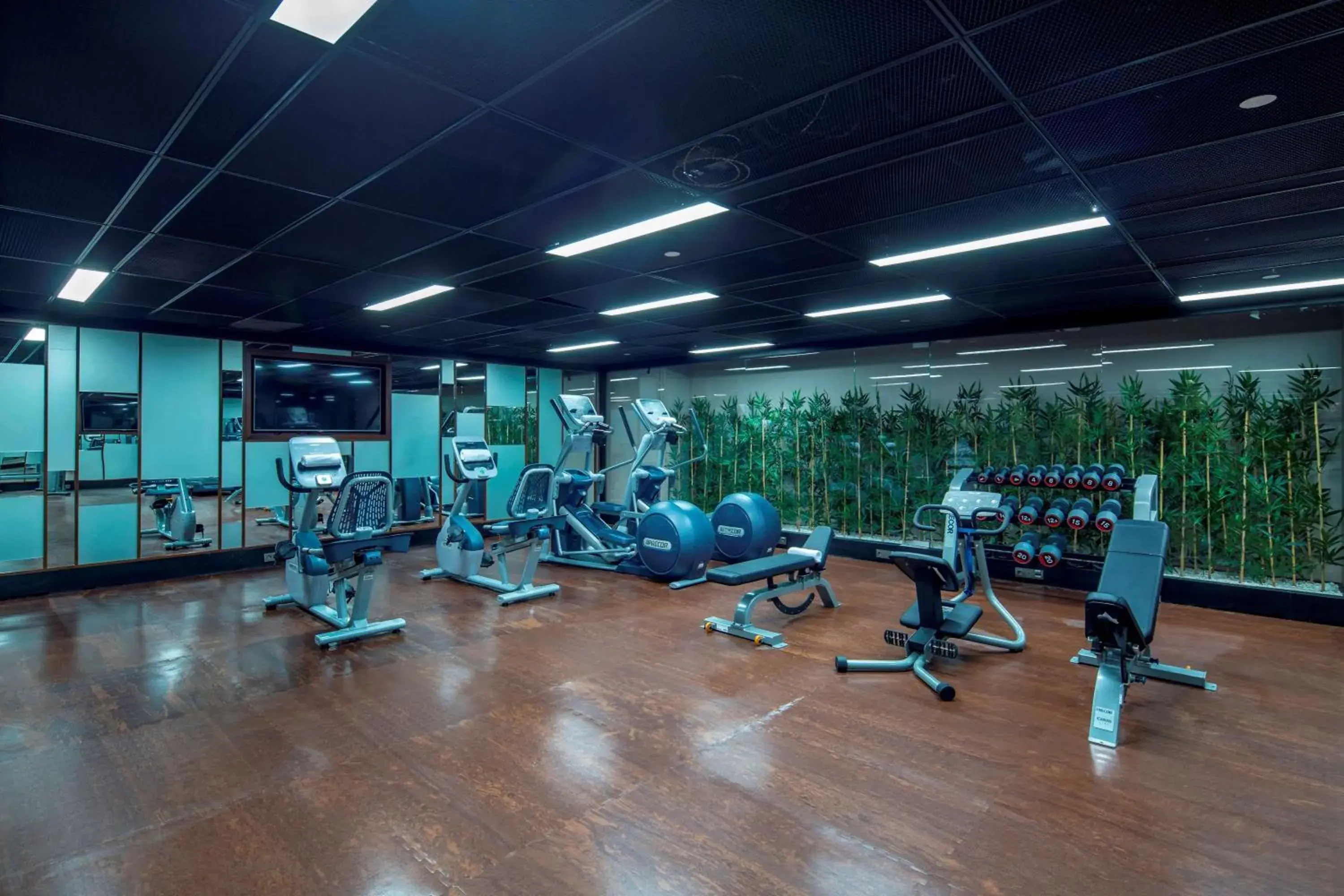 Fitness centre/facilities in Hilton Garden Inn Istanbul Atatürk Airport Fitness centre/facilities in Hilton Garden Inn Istanbul Atatürk Airport