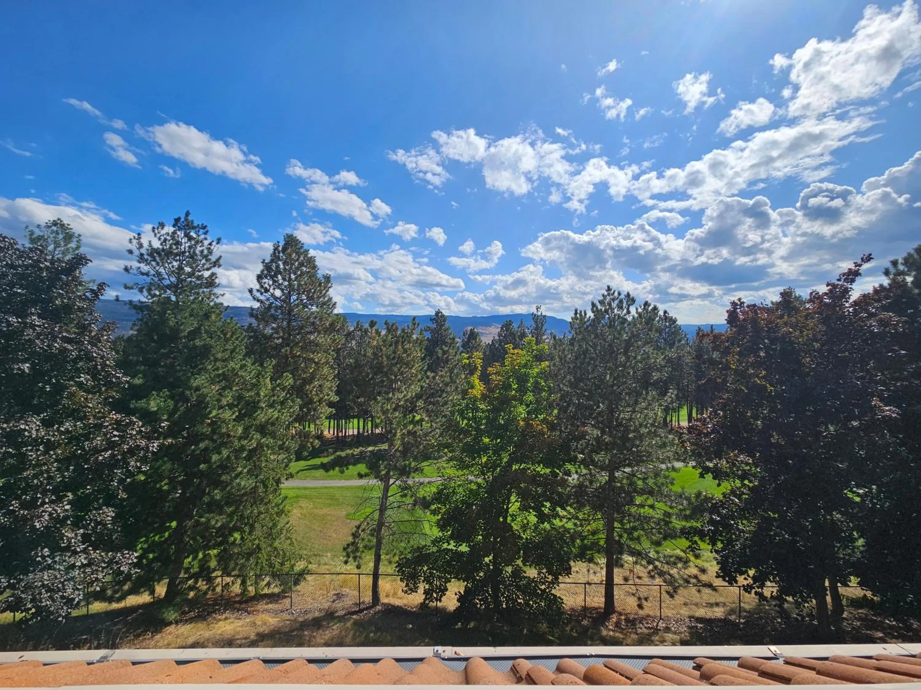 Borgata Lodge Resort