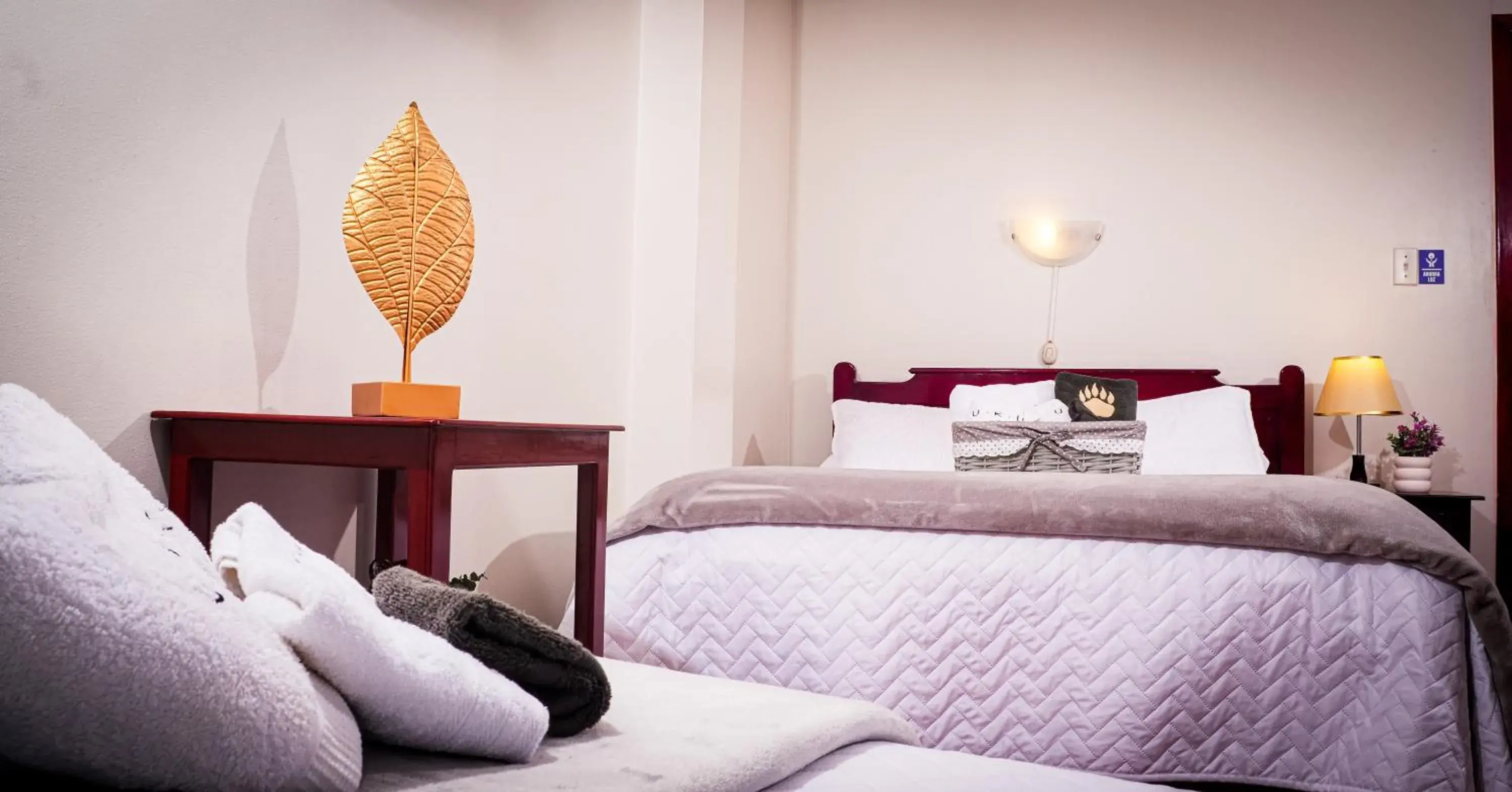 Deluxe Twin Room - single occupancy in Ukuku Hostel & Rooftop - Quito Deluxe Twin Room - single occupancy in Ukuku Hostel & Rooftop - Quito