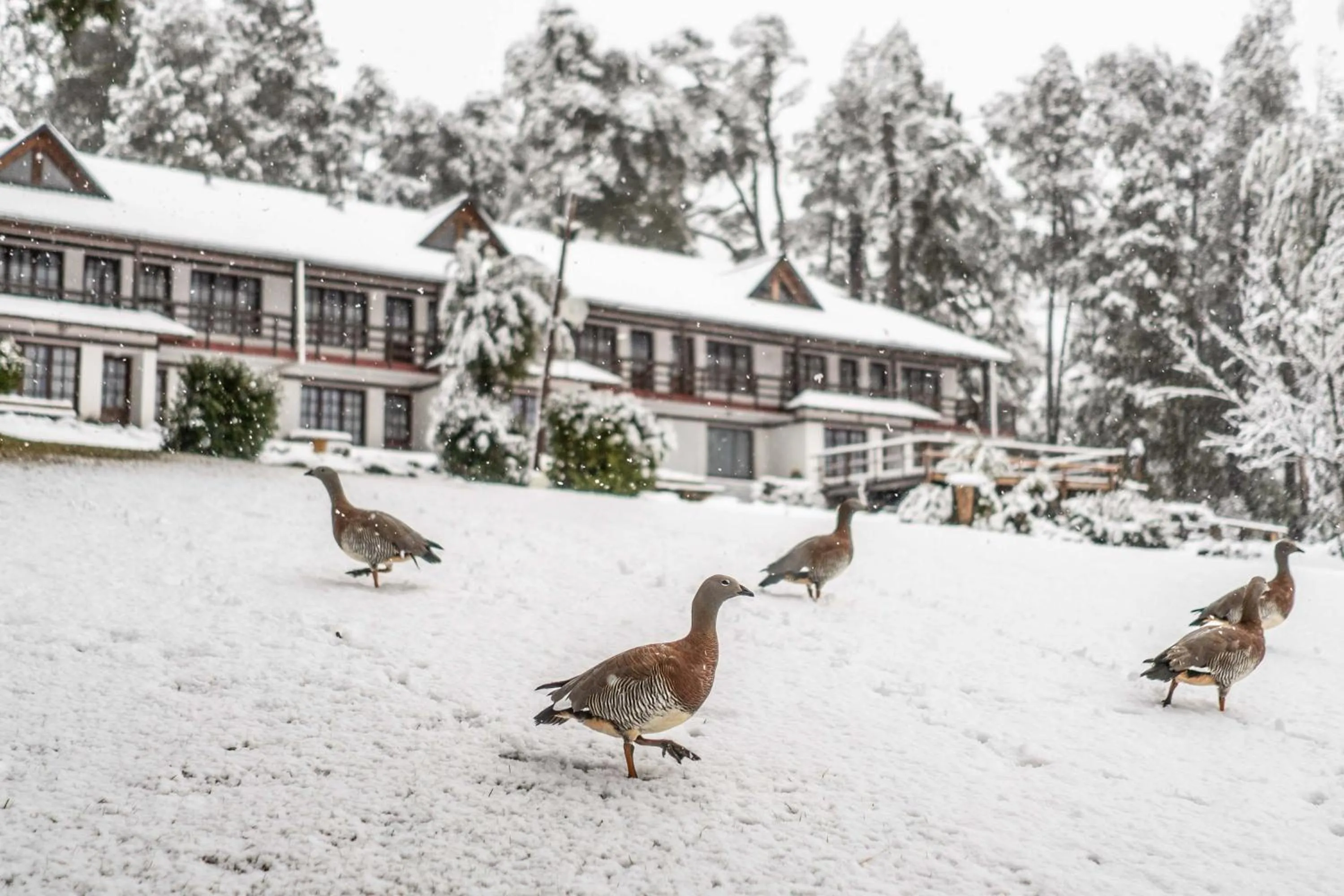 CASA del LAGO Bariloche