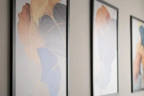 Bexpspces Mackenzie Higienópolis