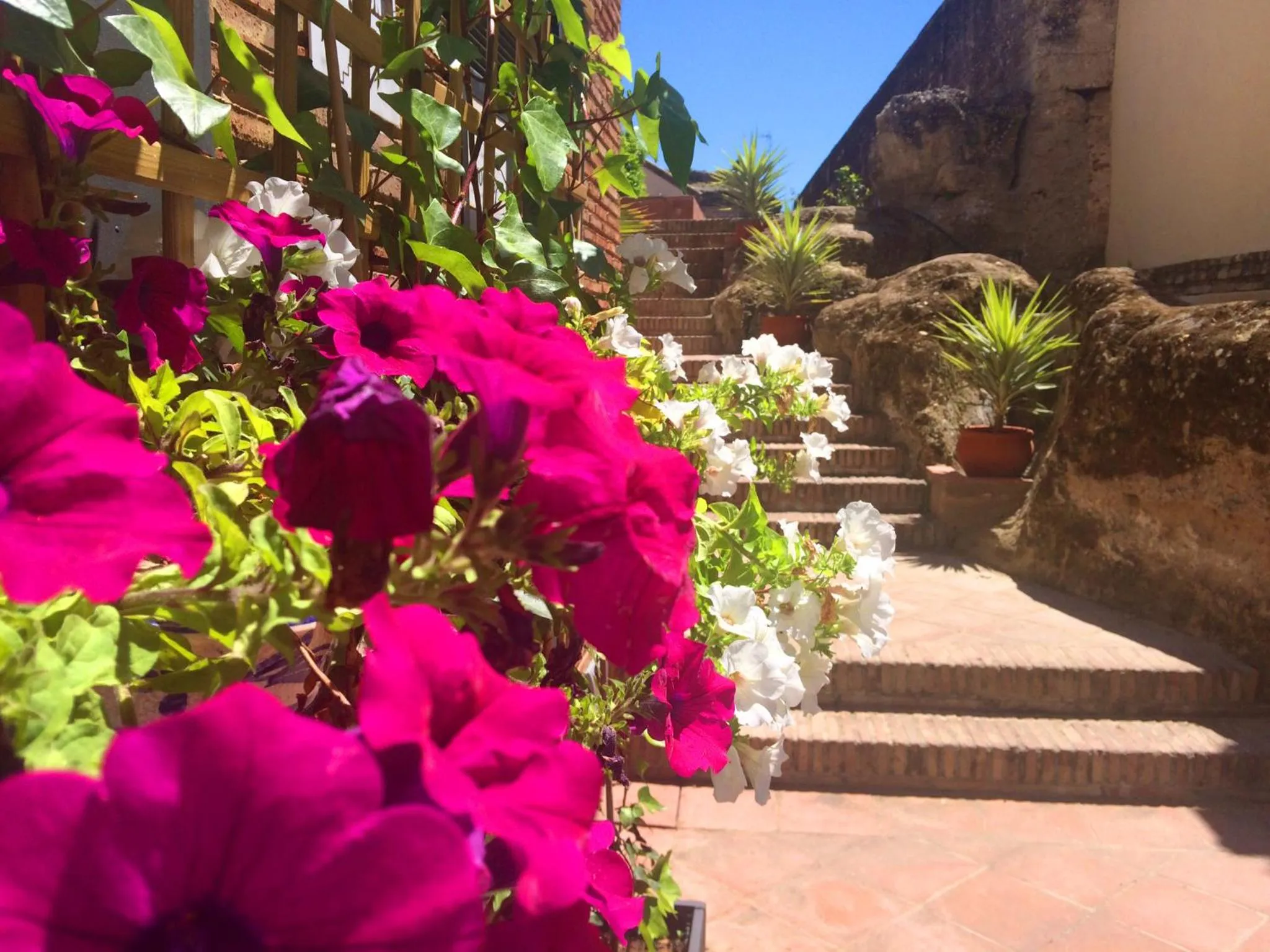 Facade/entrance in Hospedería Convento de Santa Clara