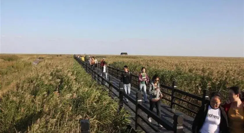 GreenTree Inn Chongming Nanmen Express Hotel GreenTree Inn Chongming Nanmen Express Hotel