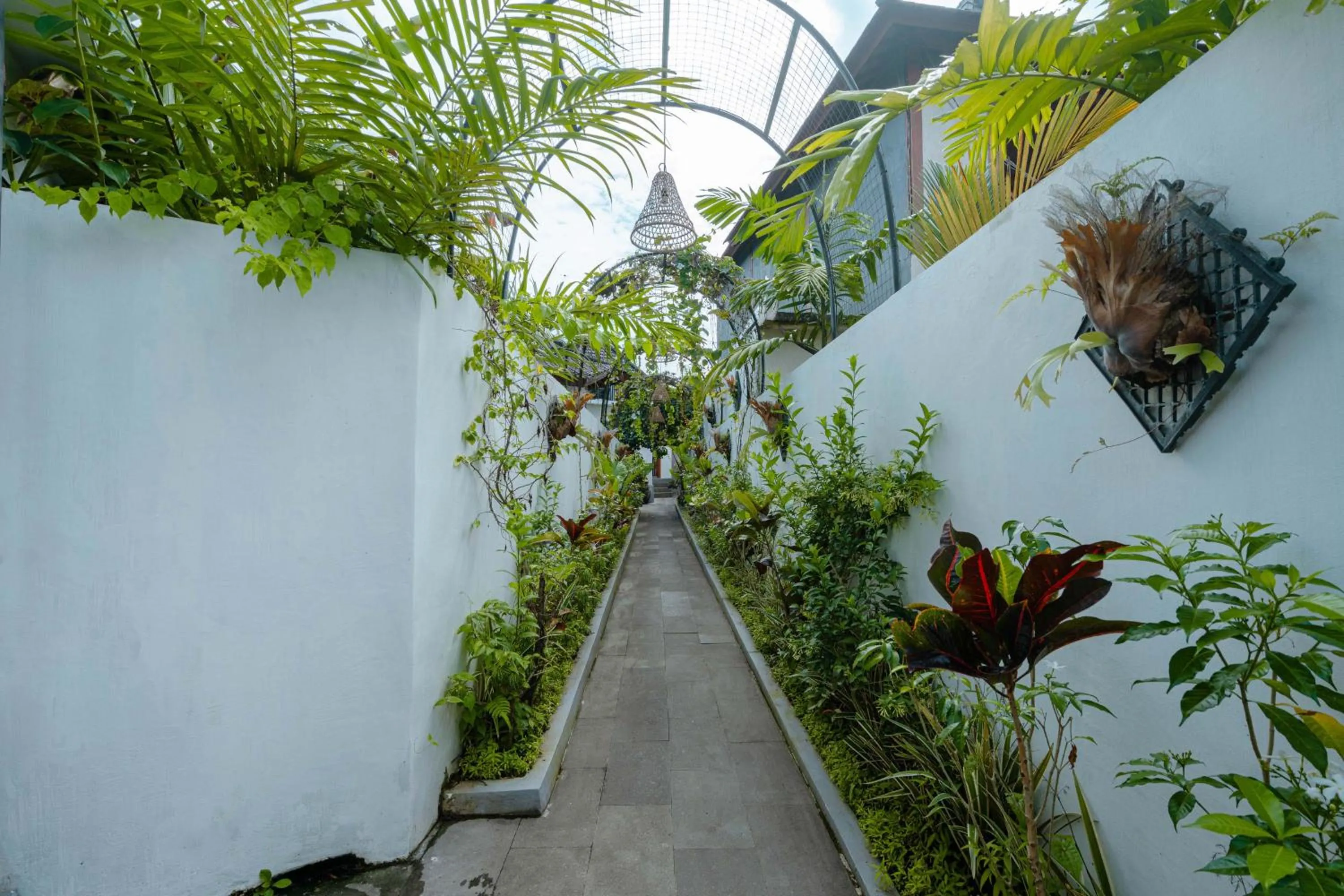 Garden in Maddu Suites