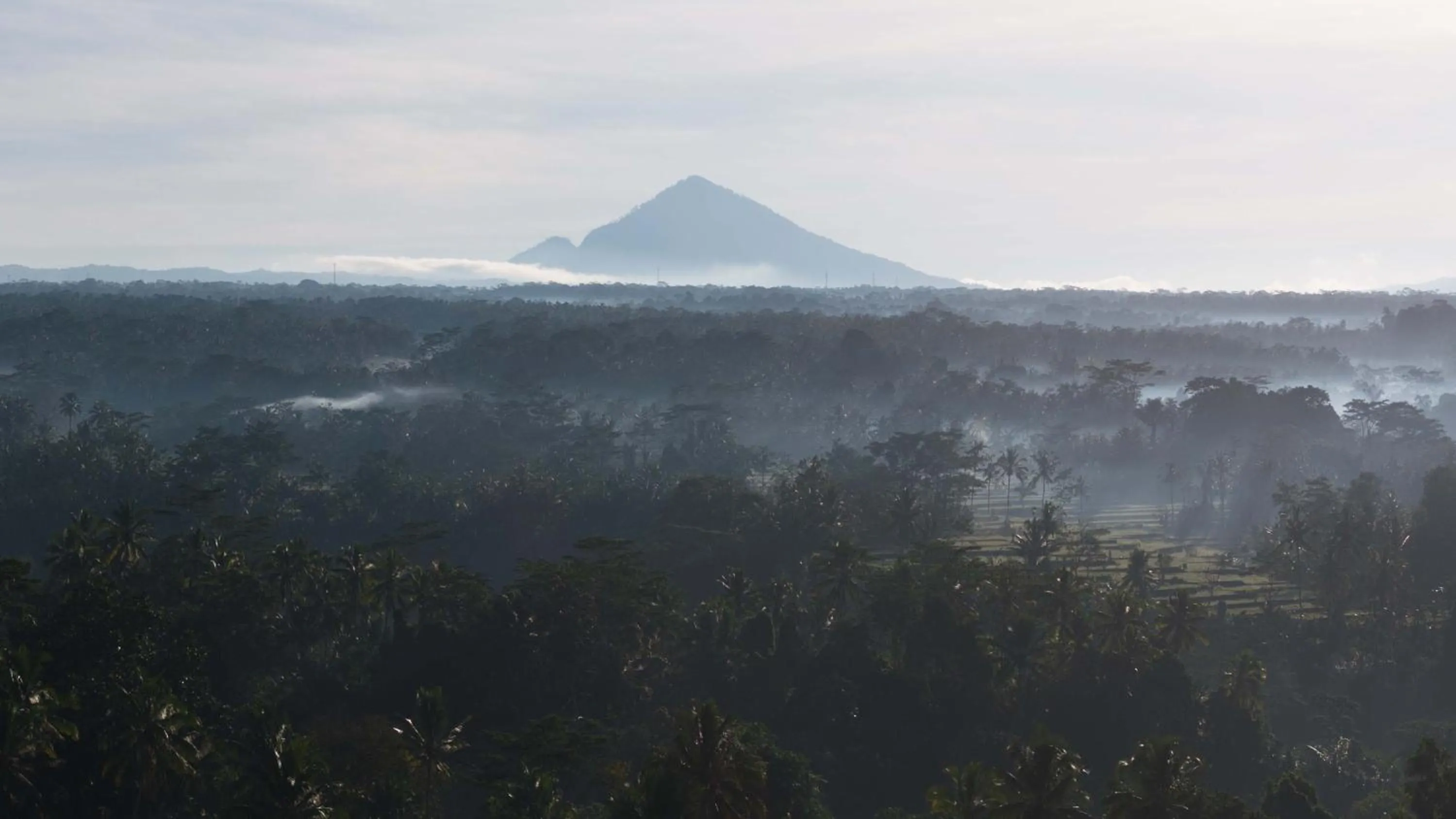 Other in Maddu Suites