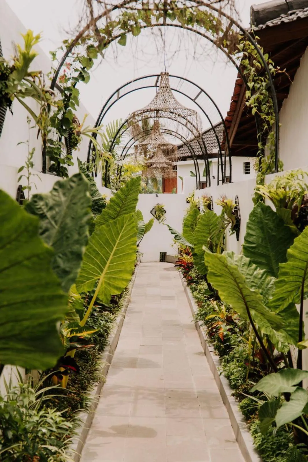 Garden in Maddu Suites