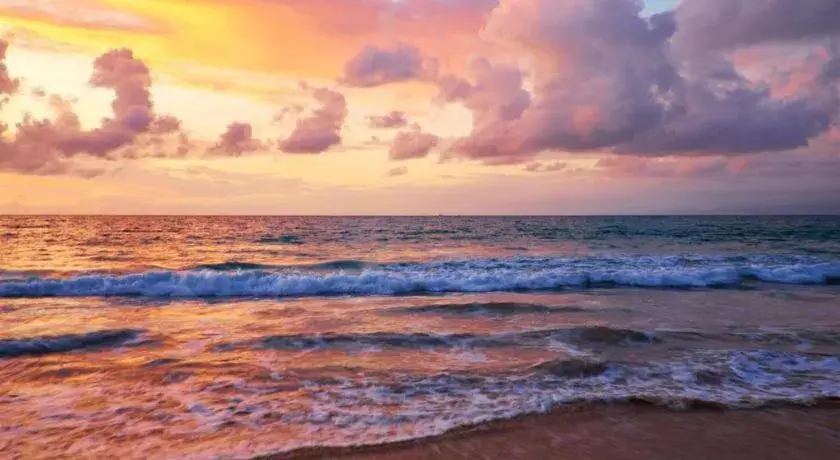 Makassar Golden Hotel Makassar Golden Hotel