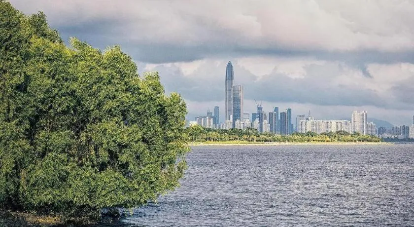 Seaview Gleetour Hotel Shenzhen Eastwing building