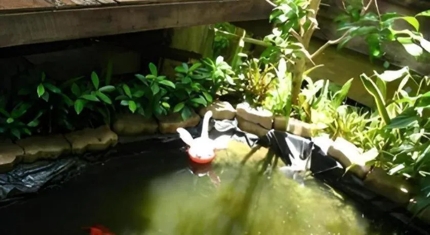 Baan ChanKhiang at ChiangKhan