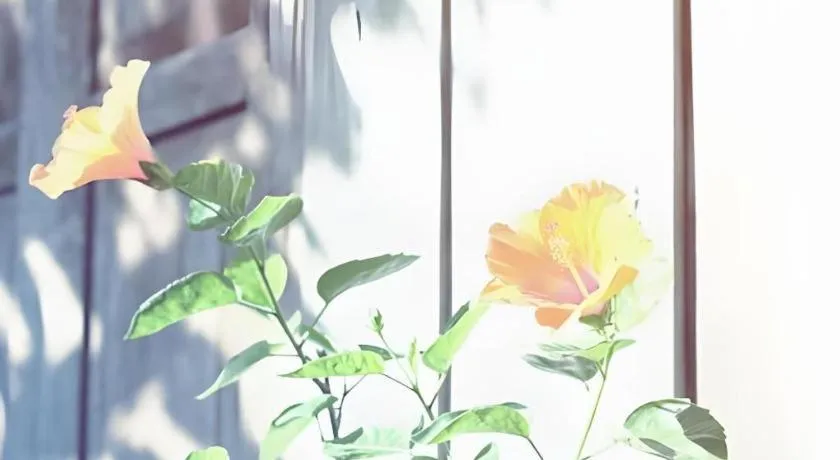 Baan ChanKhiang at ChiangKhan