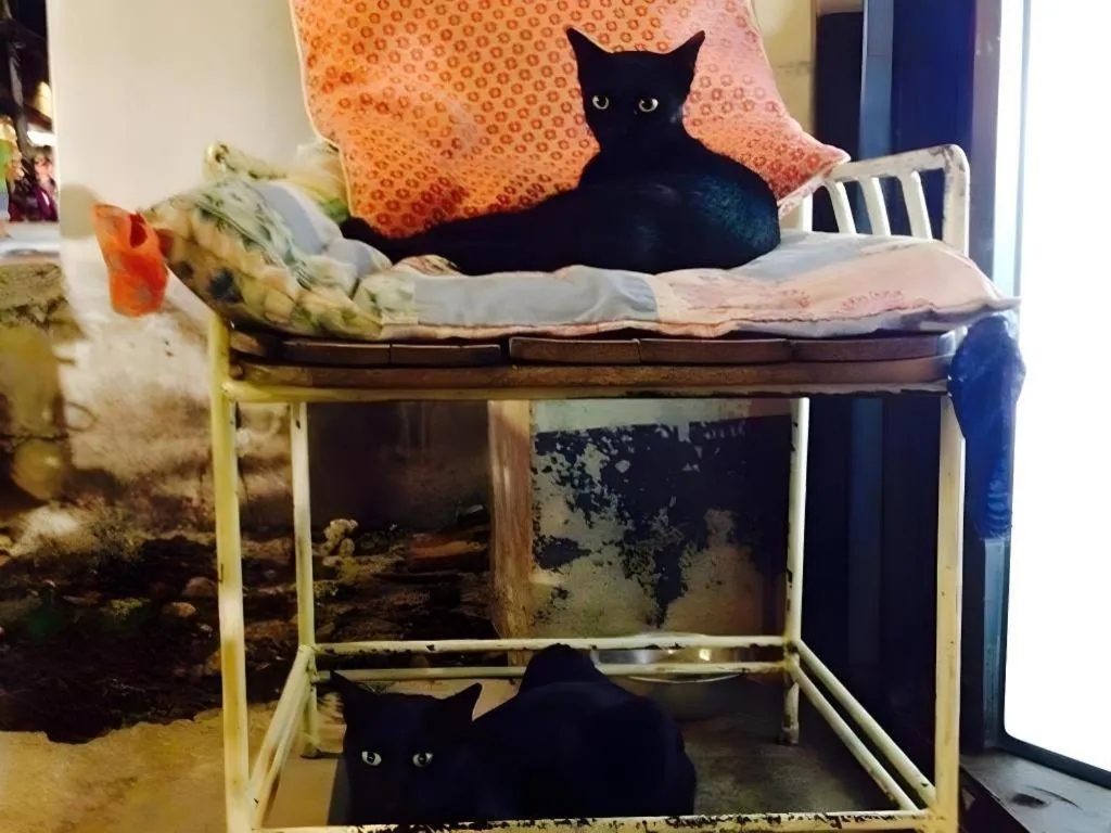 Baan ChanKhiang at ChiangKhan